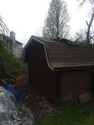 Tree Damage using Tree Removal