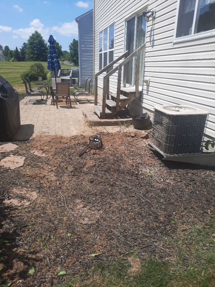 Tree Removal using Tree Removal by Mike Jones & Sons Tree Service LLC 