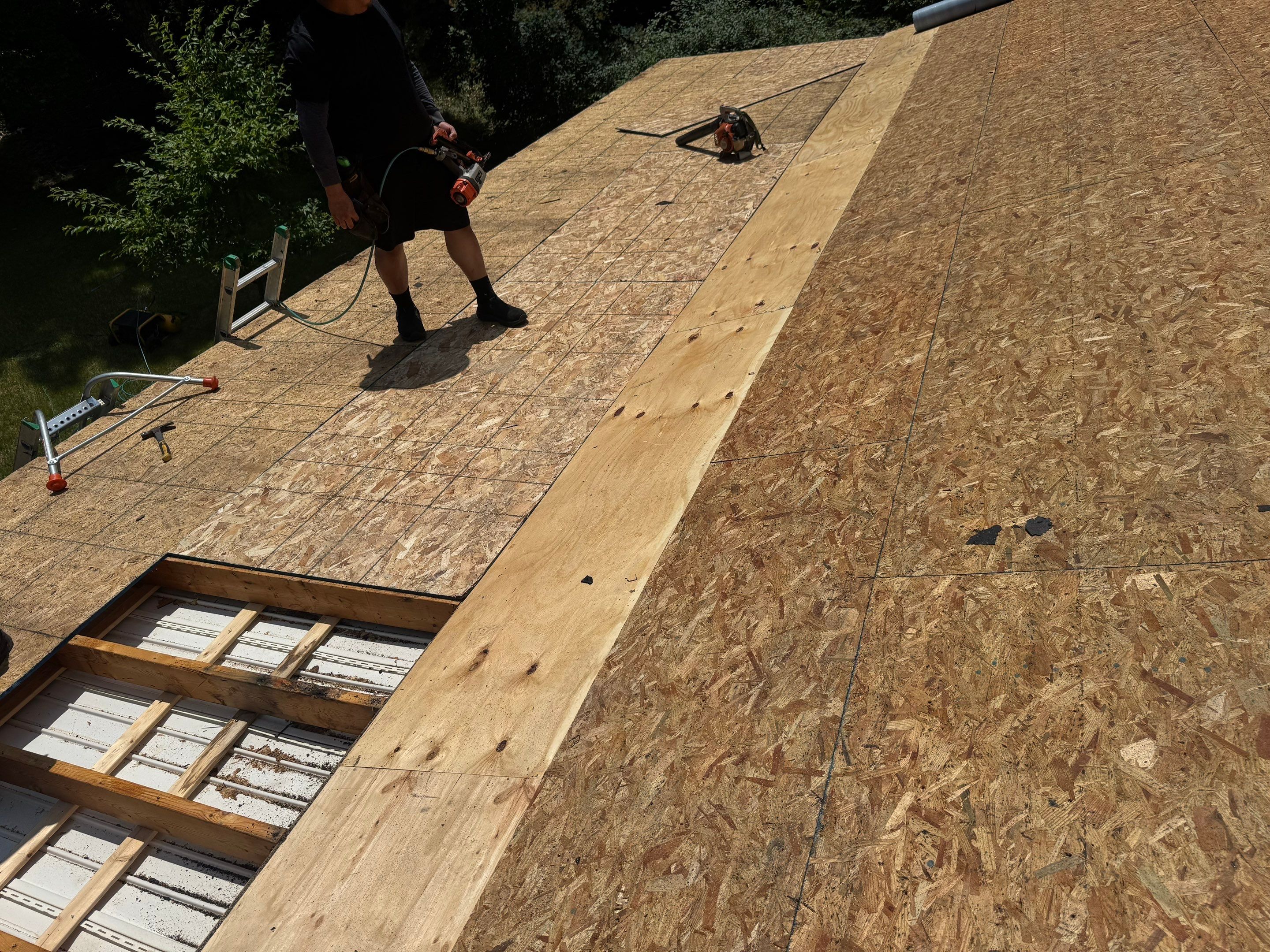 Roof Replacement - Landmark PRO Red Oak by Winchester Roofing
