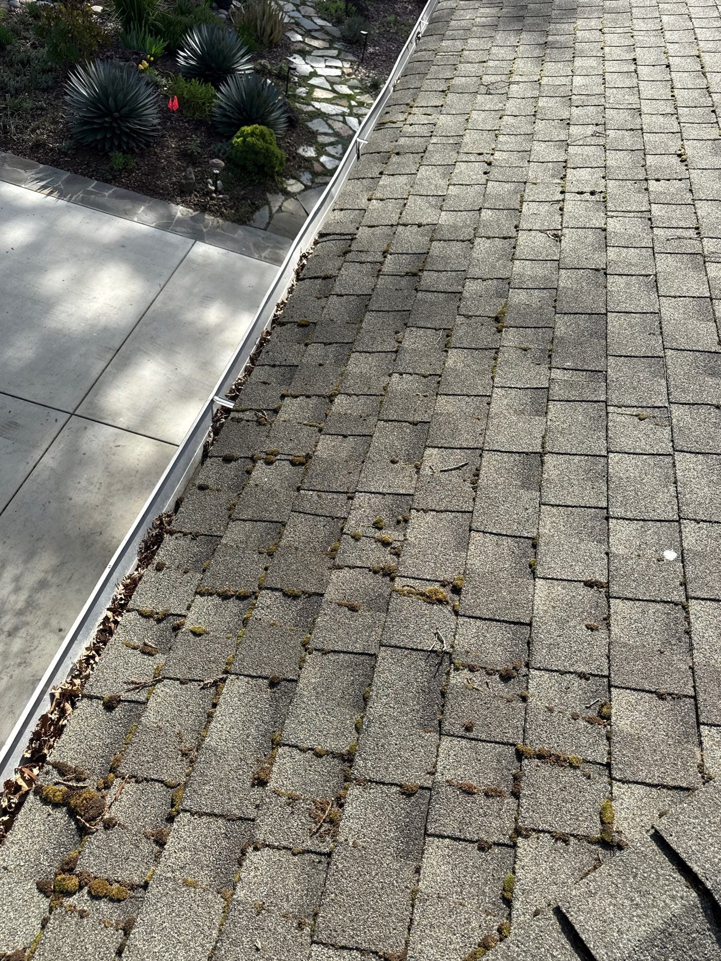 Soft Wash by Top Elevation
