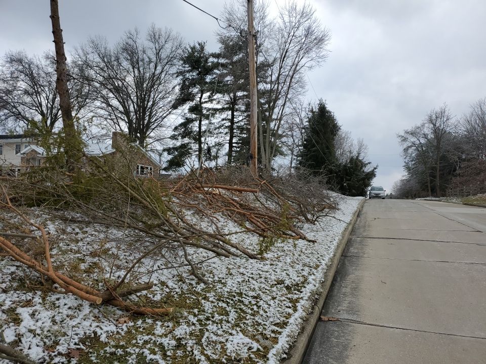 Tree Removal using Tree Removal by Mike Jones & Sons Tree Service LLC 