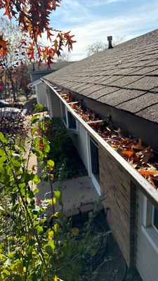Turtle Shell gutter protection installation in Hanover Park, IL 60133, photograph 3