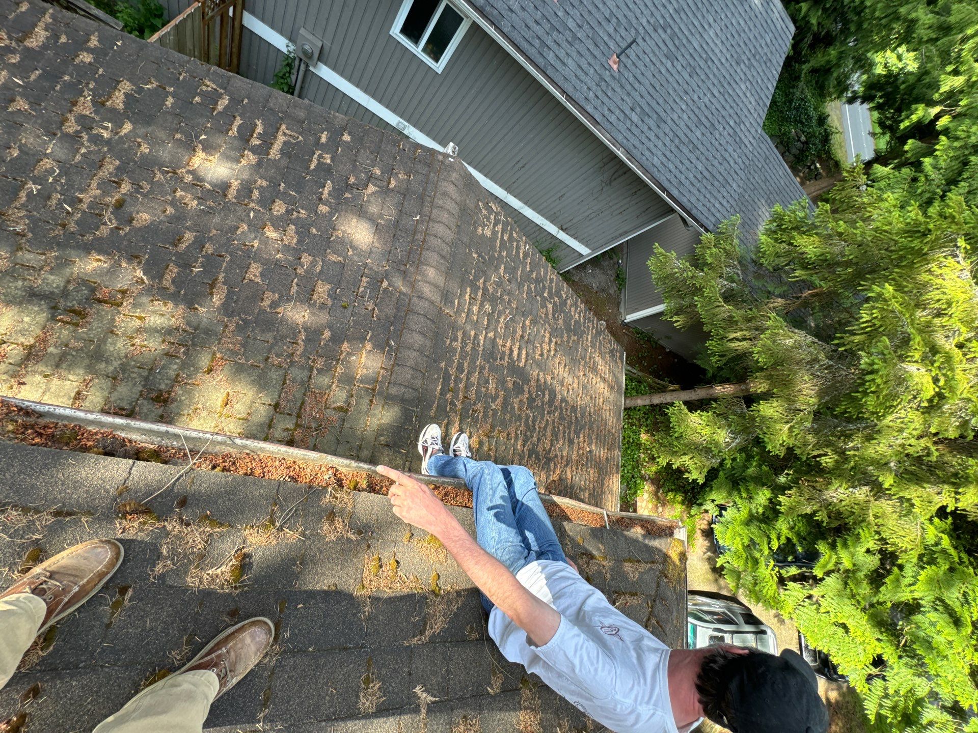 Project in Edmonds by Peaks and Valleys Construction