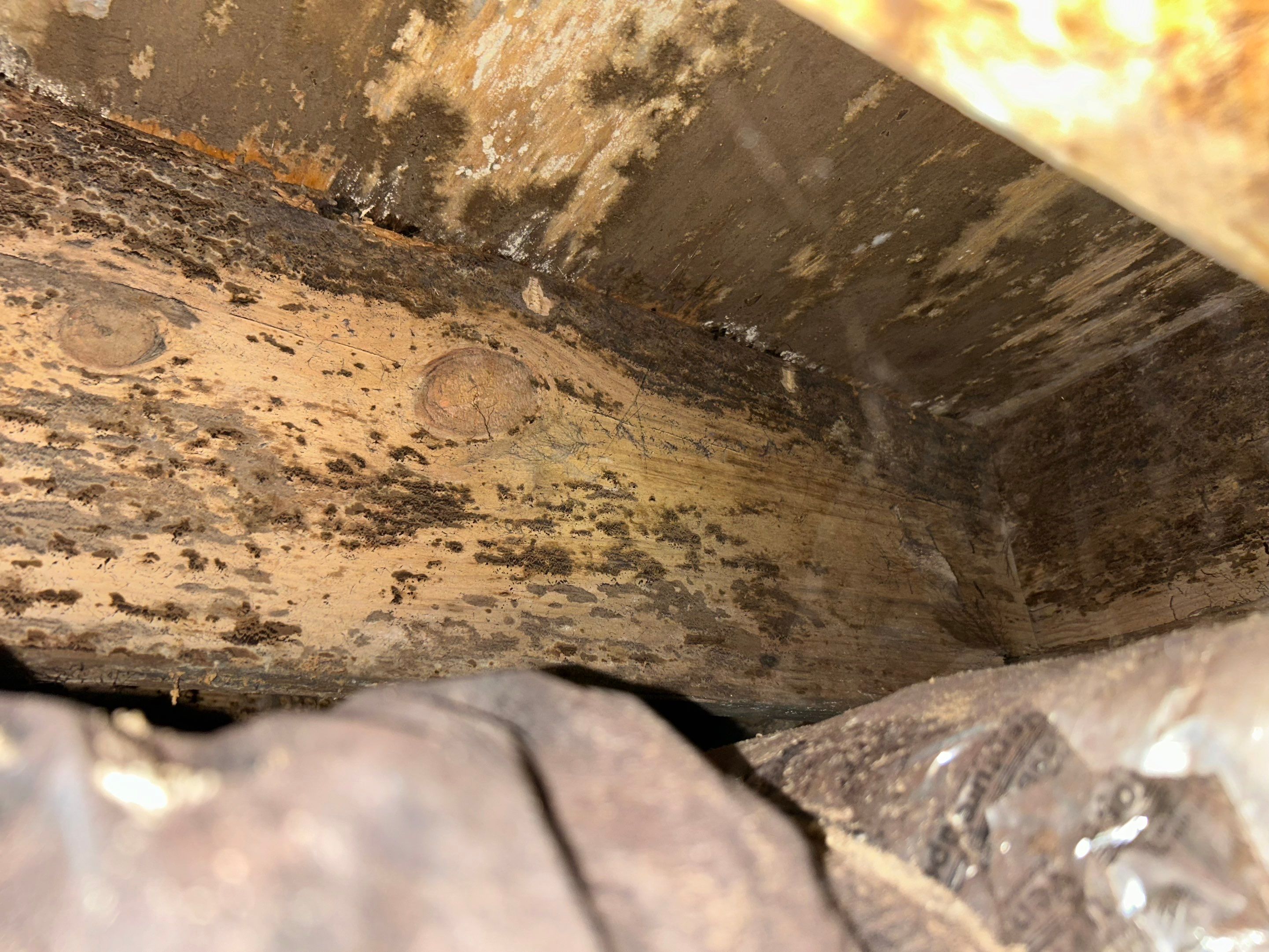 Structural Repairs inludiing sub-floor removal, new floor joists installed, girder replacmeent and dropped girder installed. by Impact Crawlspace