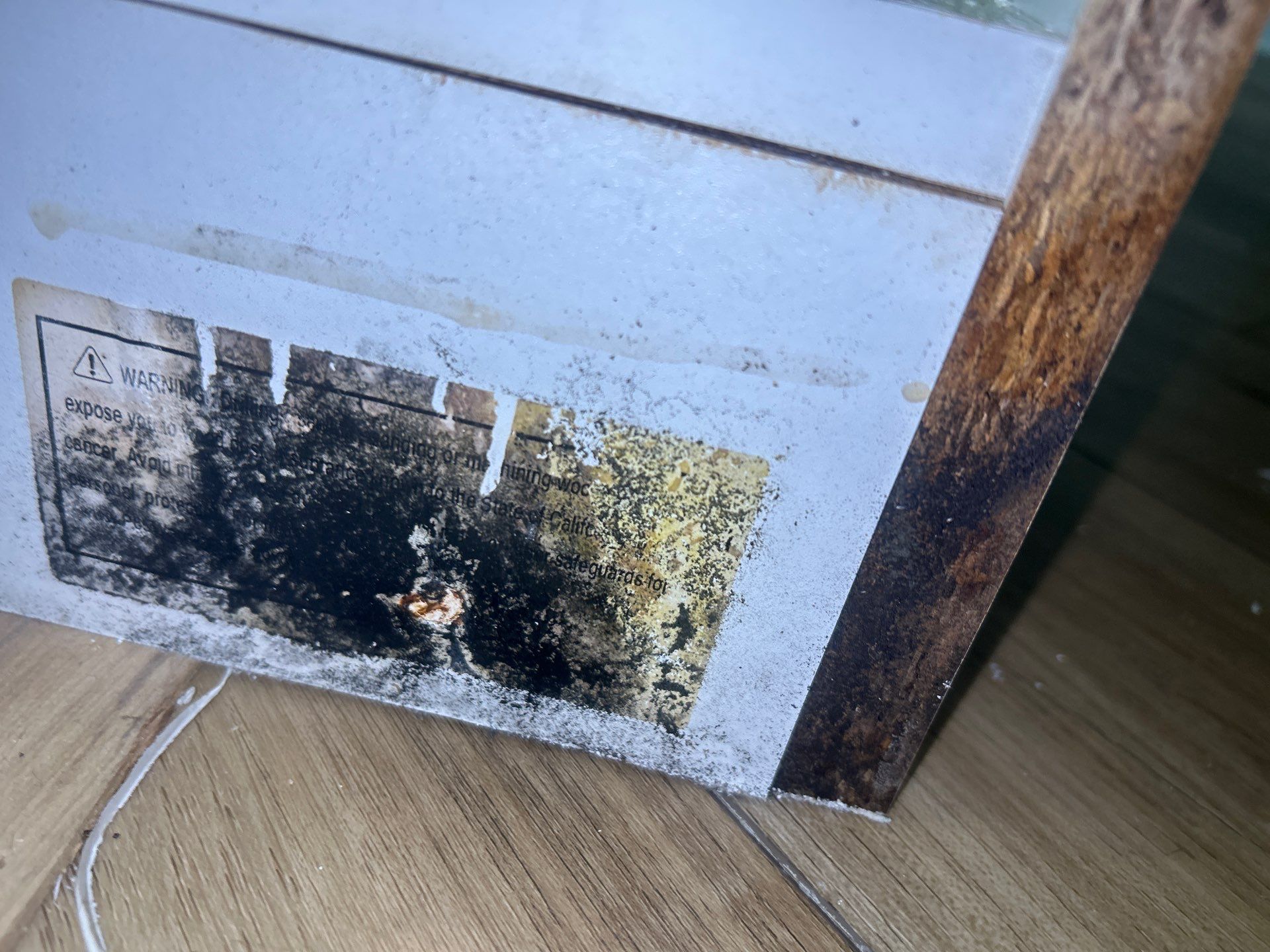 Water Damage Restoration by Ampm Restoration Services