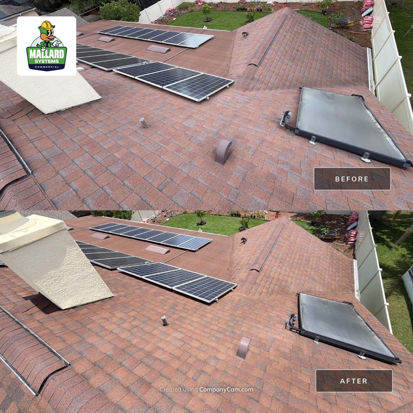  Shingle Roof Cleaning by Mallard Systems