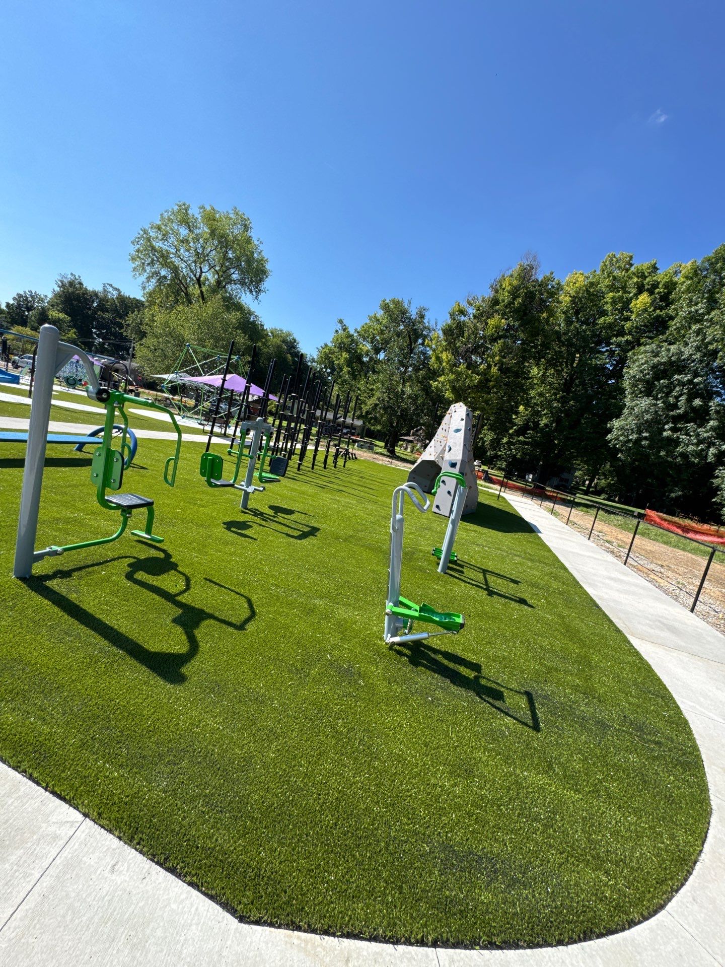 Lou Dennis Playground Grass by ForeverLawn NEIN/INDY