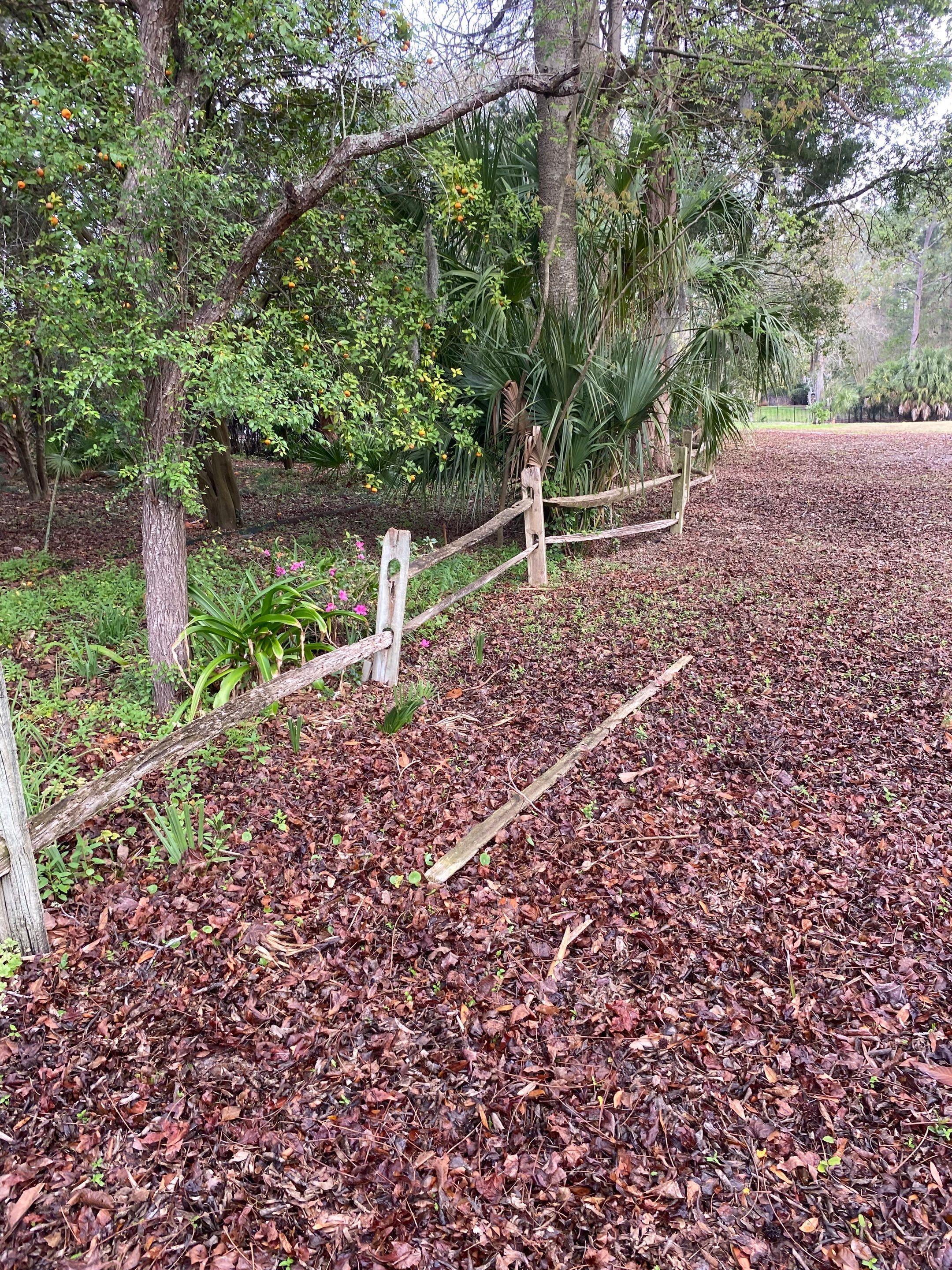 Deerwood Resident | Fence Replacement by ProGreen Services