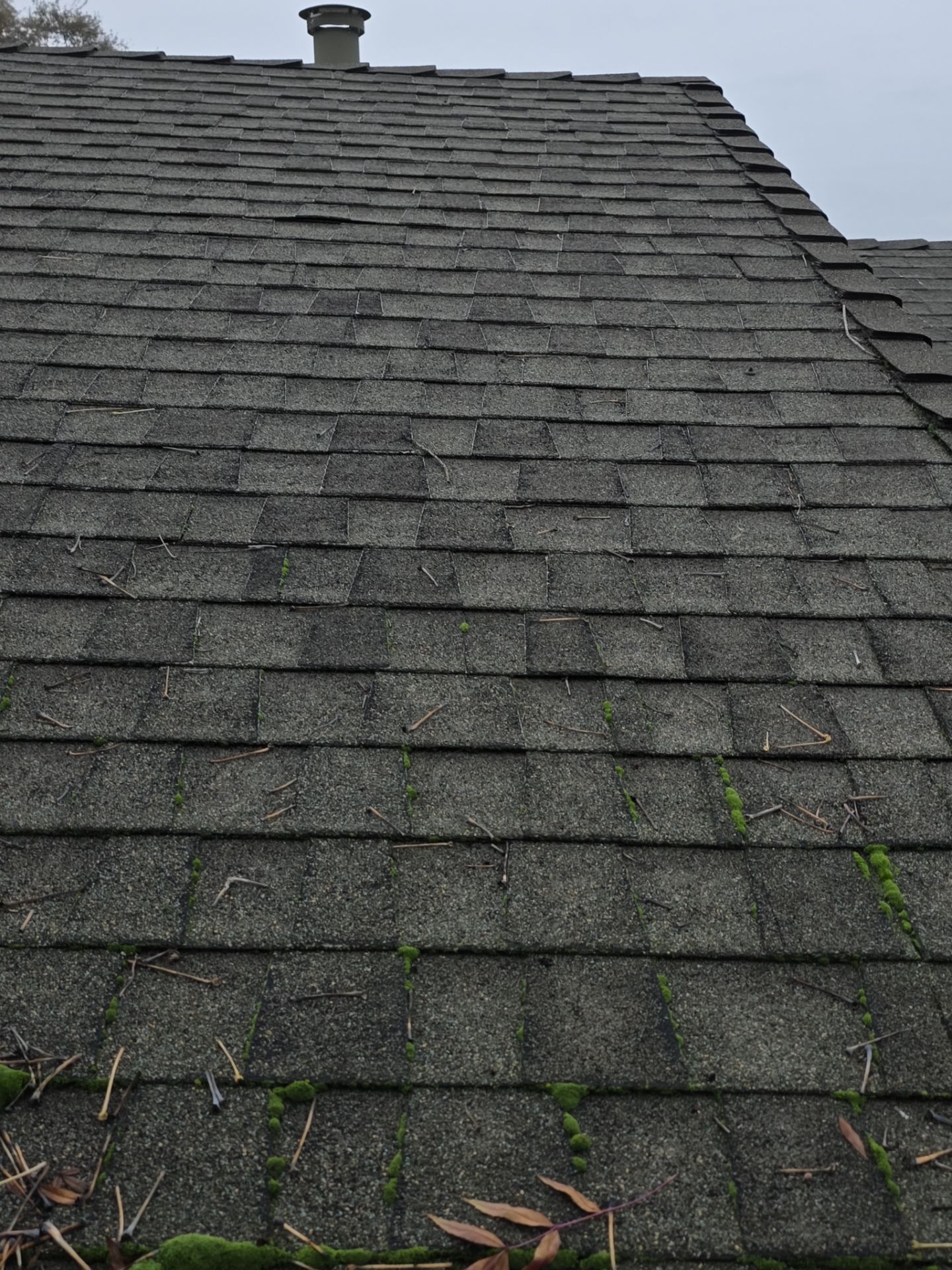 Roof Rejuvenation using Roof Maxx Treatment by Roof Maxx of Folsom