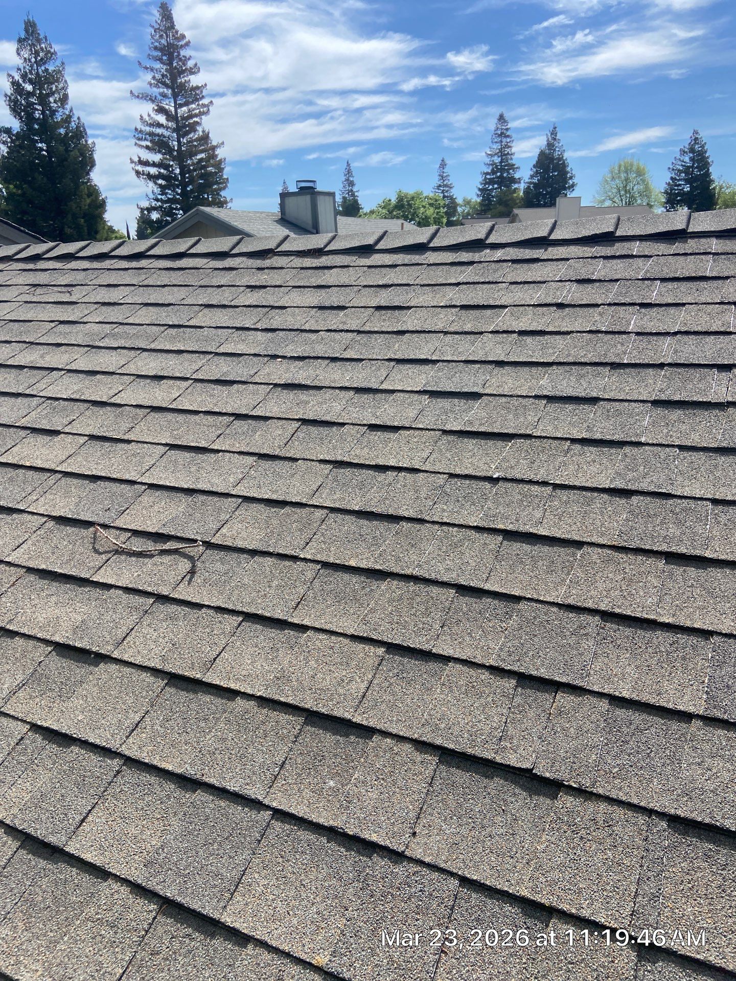 Roof Rejuvenation using Roof Maxx Treatment by Roof Maxx of Folsom