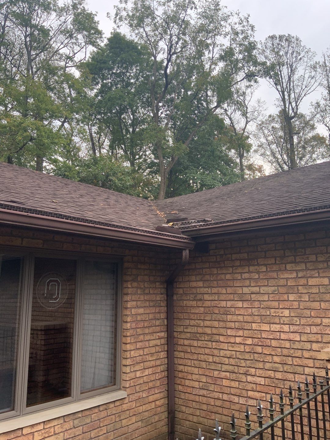 Brand: Atlas Pinnacle Color: Pristine Scotchgard Sienna Drip: Musket Brown by Eagle Eye Roofing