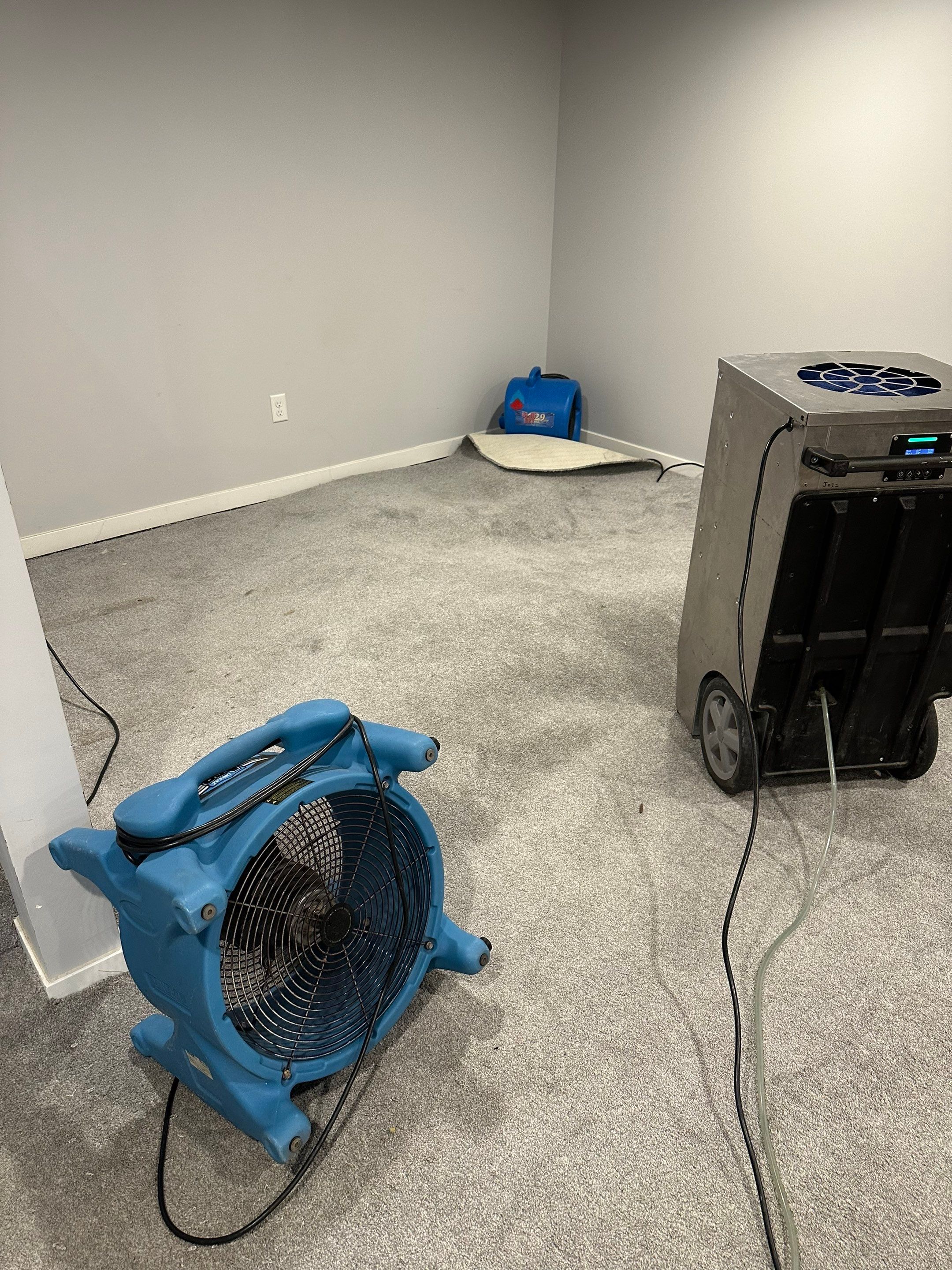 Basemen Oder removal with mold remediation and carpet pad replacement by BlueRed Restoration