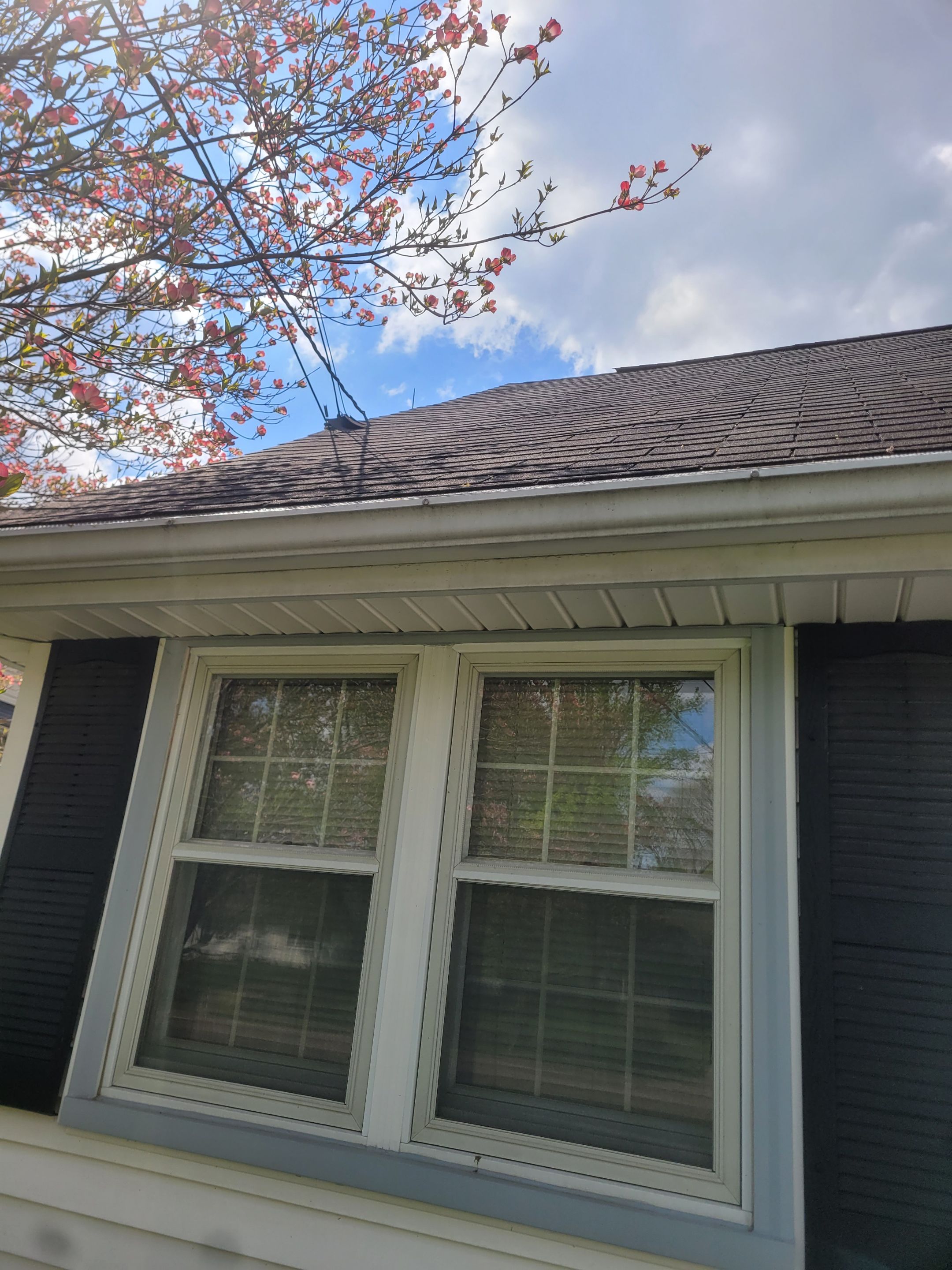 Ashley Green by Silver Leaf Contracting 