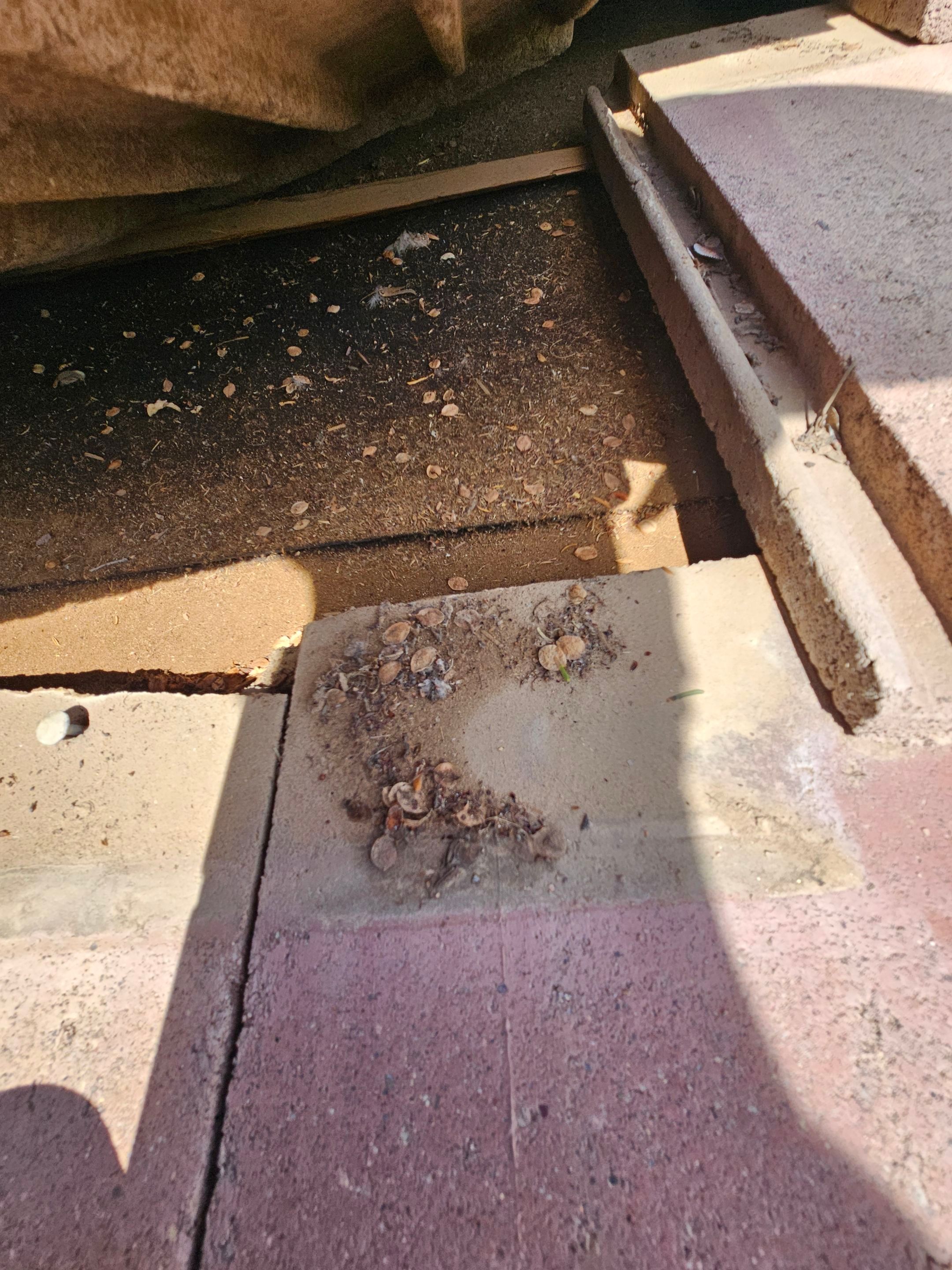 Santa Fe Blend Concrete Tile by Reimagine Roofing