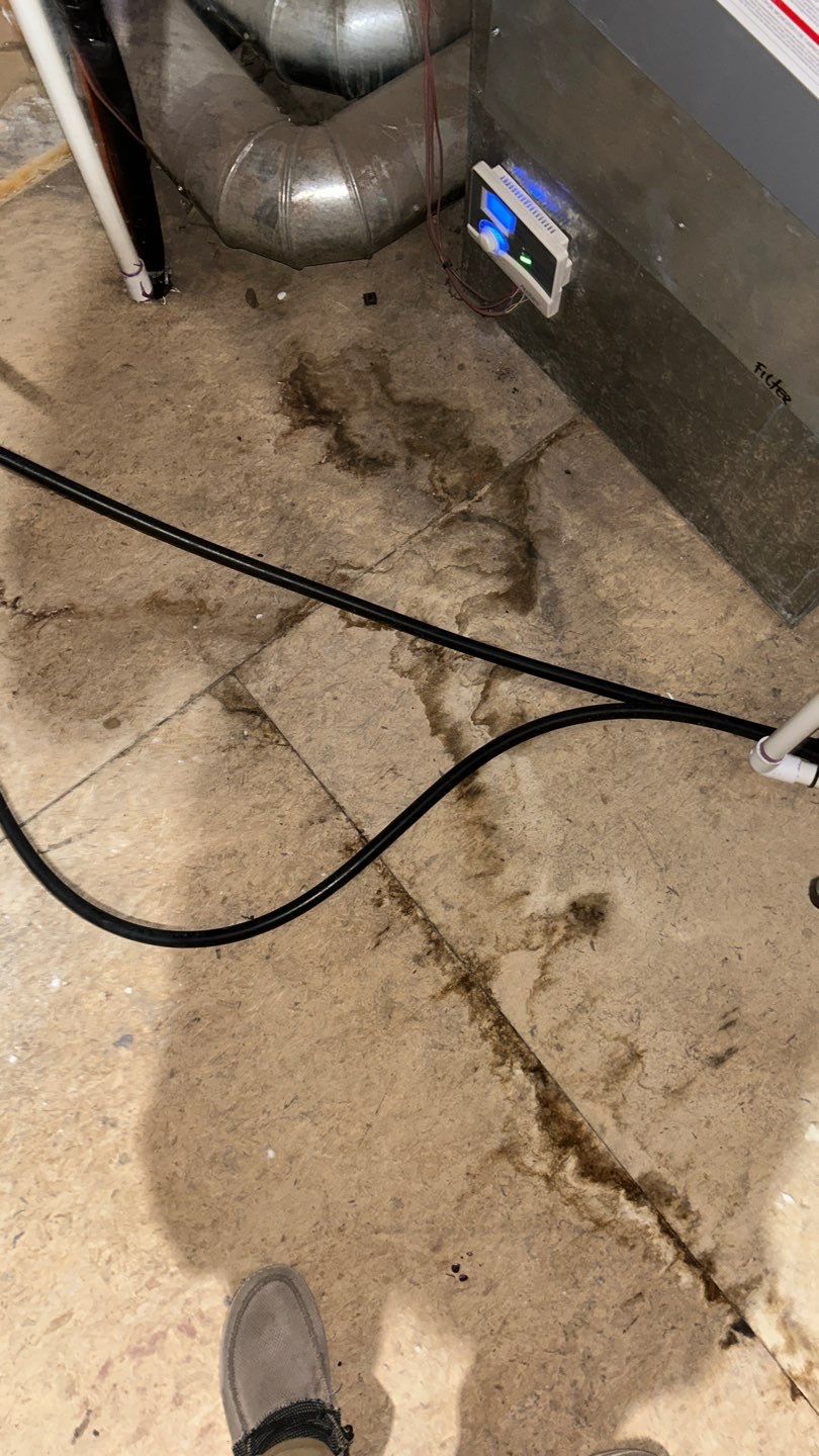 Mold Damage by Accountable Home Services