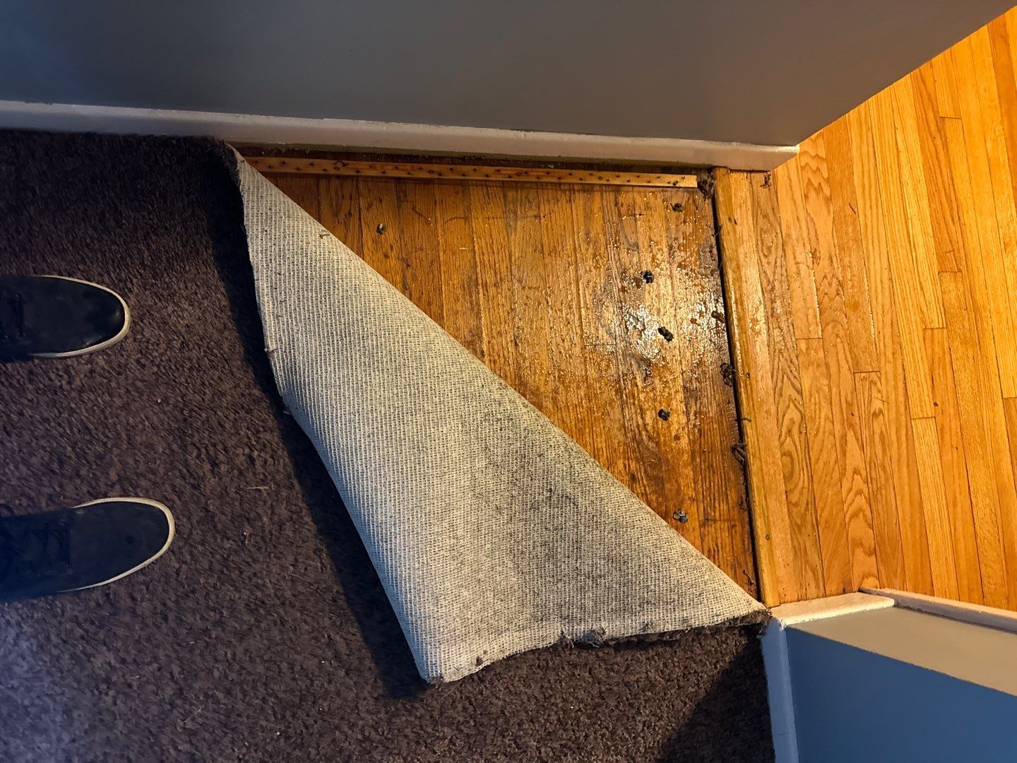 Project in Dearborn by EzDry Water Mitigation & Property Restoration