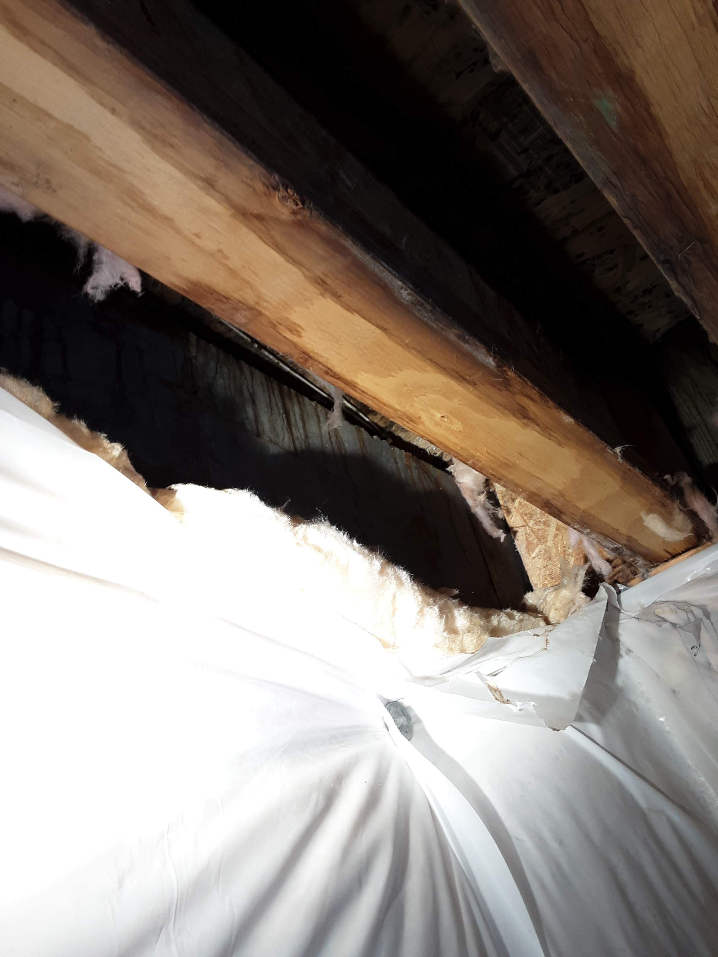 Interior water damage inspection by ASAP Roofing & Exteriors
