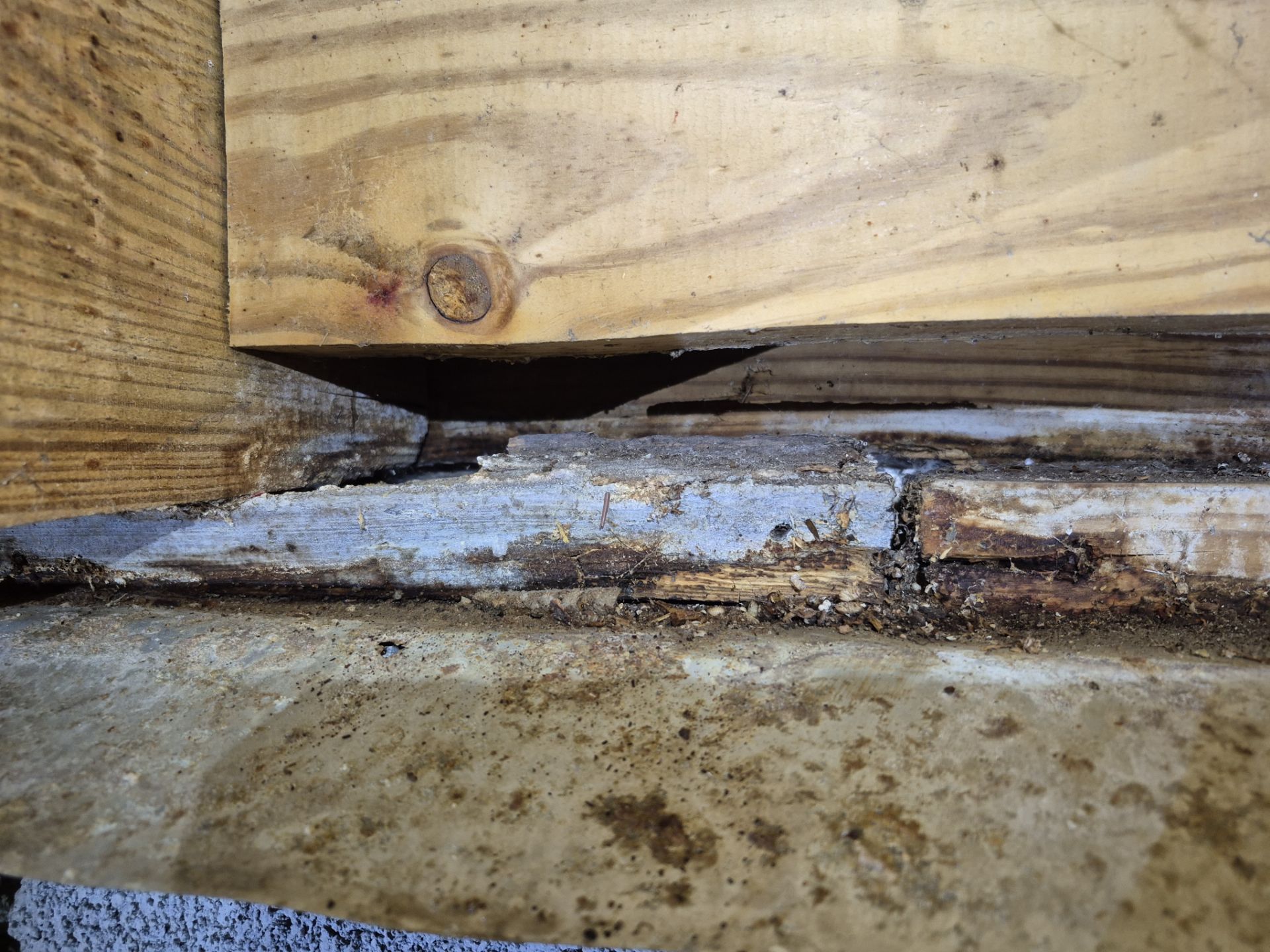 Project in Norfolk by Patriot Crawl Space Repairs