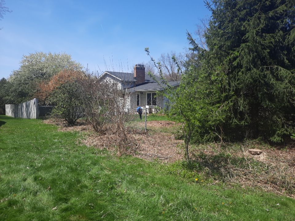 Tree Removal using Tree Removal by Mike Jones & Sons Tree Service LLC 