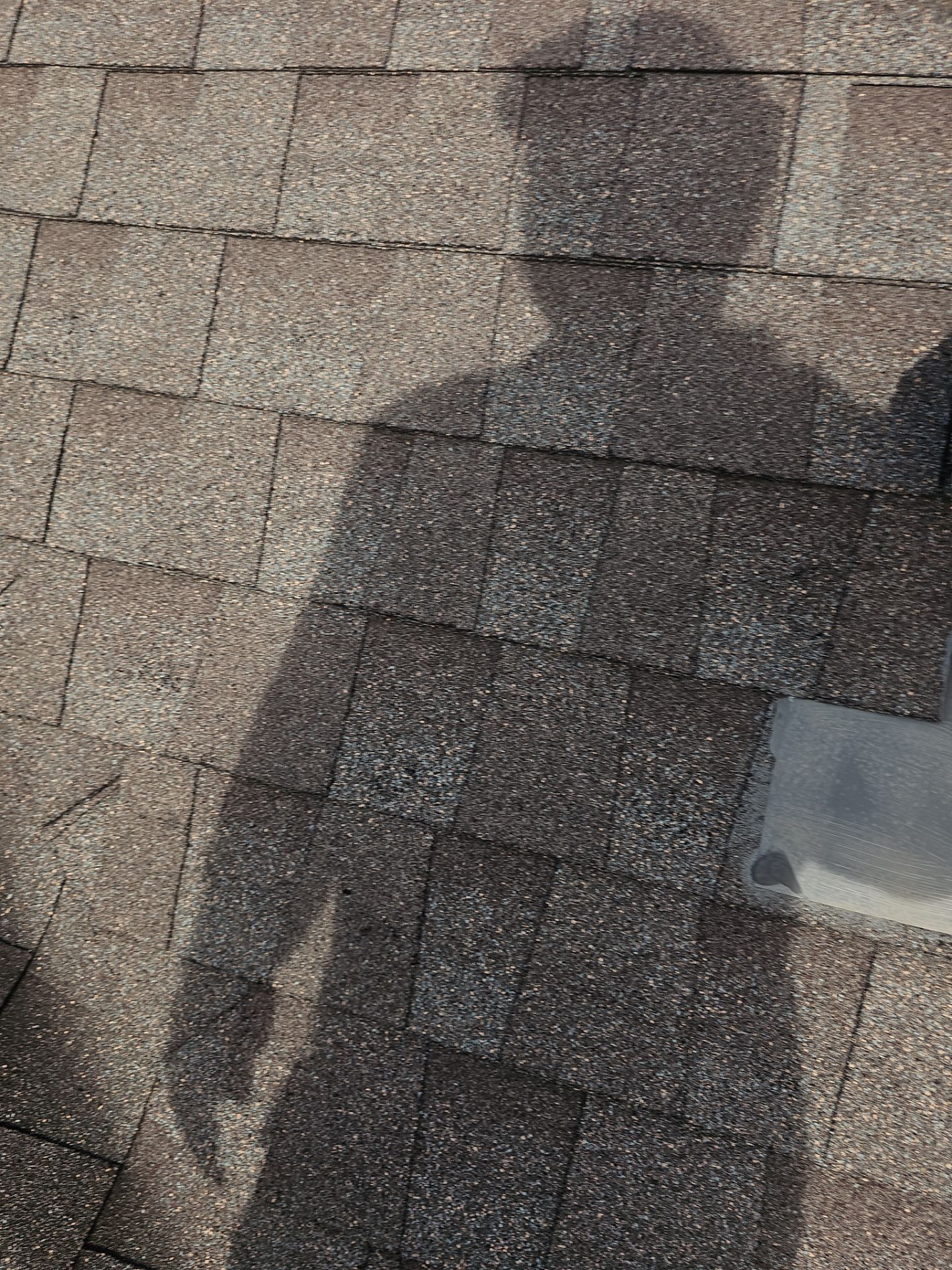 Hail Damage using Owen's Corning Duration (Lifetime) Shingles by Roof Repair Company