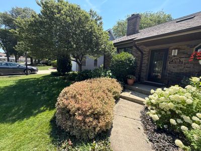 John K. - Arlington Heights, IL