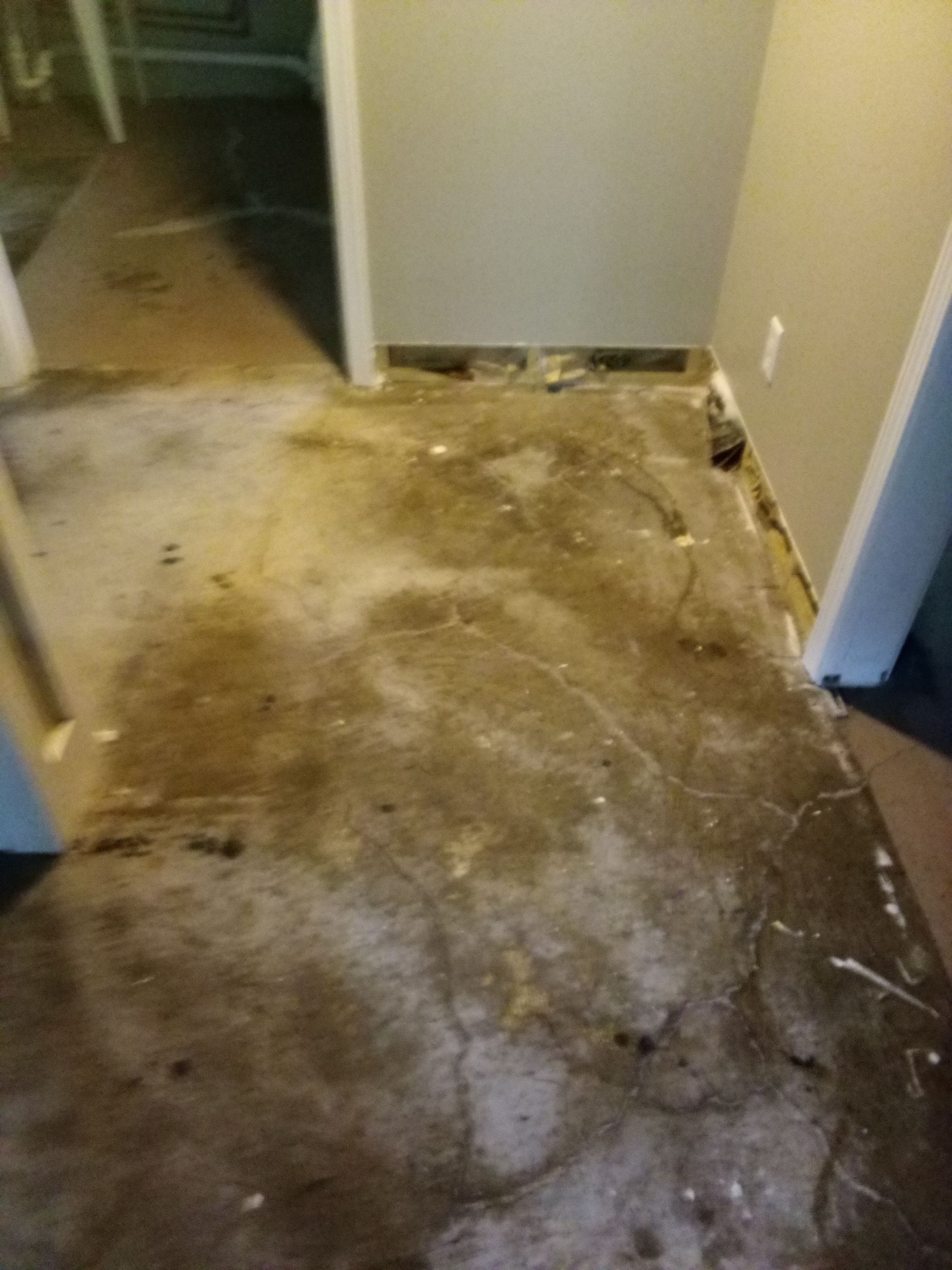 Mold Remediation in Shelbyville, KY by ANR Restoration