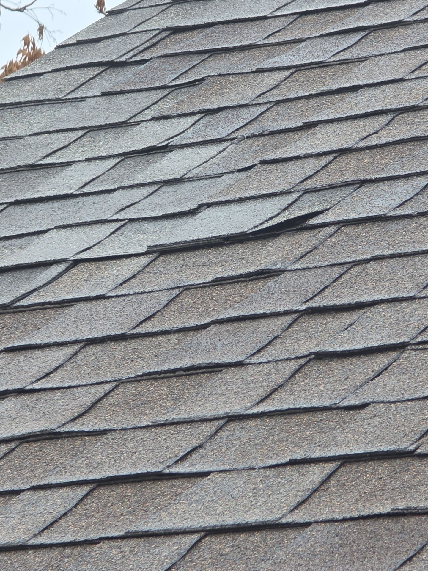 Roof Rejuvenation using Roof Maxx Treatment by Roof Maxx of Folsom