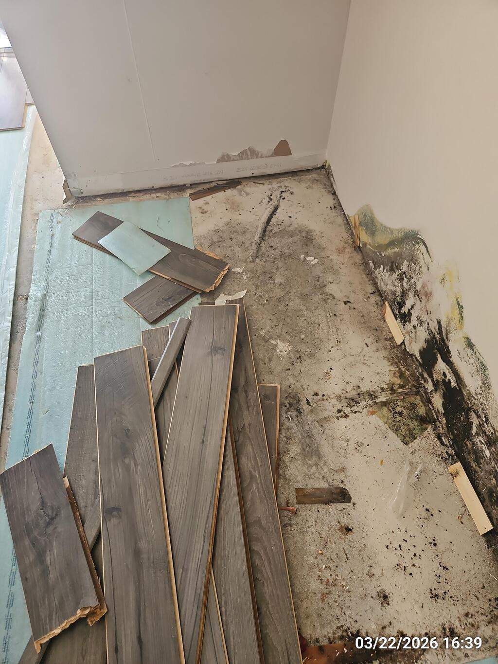 Water Damage Claim in Medford by FLAPA & KeyStone