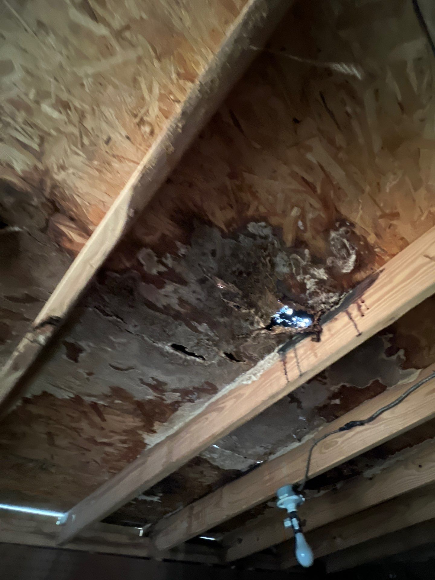 Residential Roofing Repair using Owen's Corning Duration (Lifetime) Shingles by Roof Repair Services LLC
