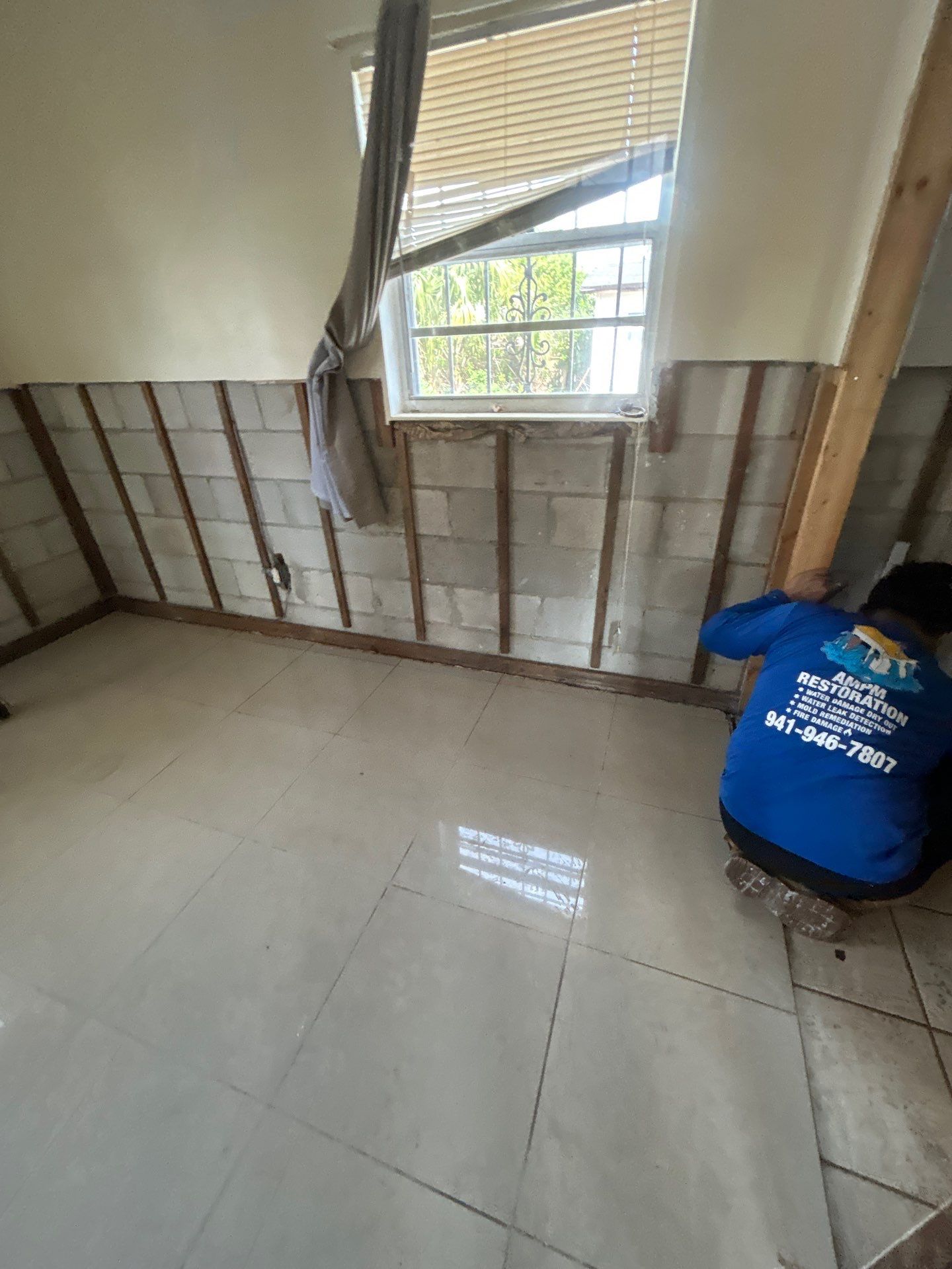 Tampa Mold Removal by Ampm Restoration Services