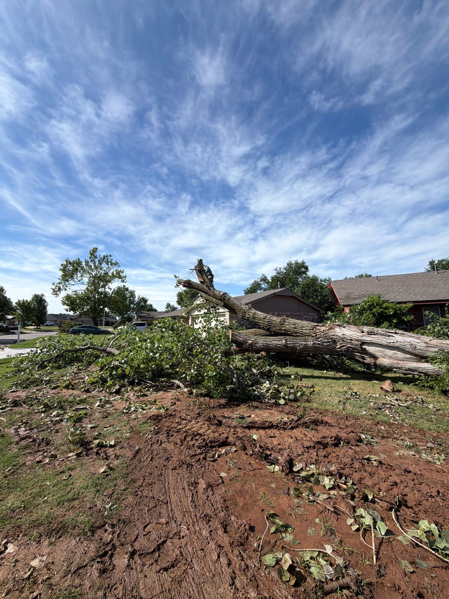 Emergency Tree Removal and Sod Installation Restoration in Lawton by Clays Services Inc
