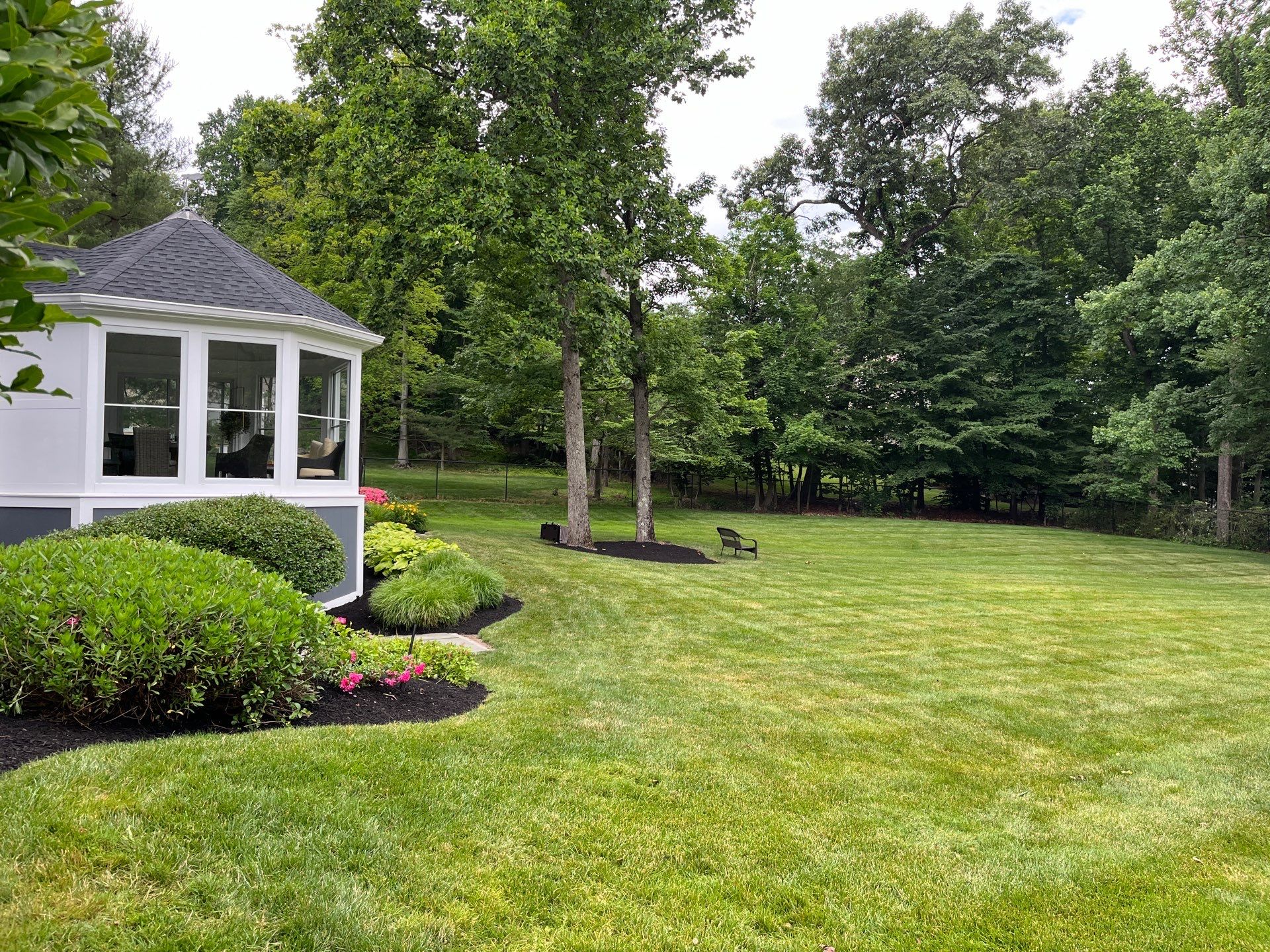 Comprehensive Lawn Care in Warren by Ants Plants