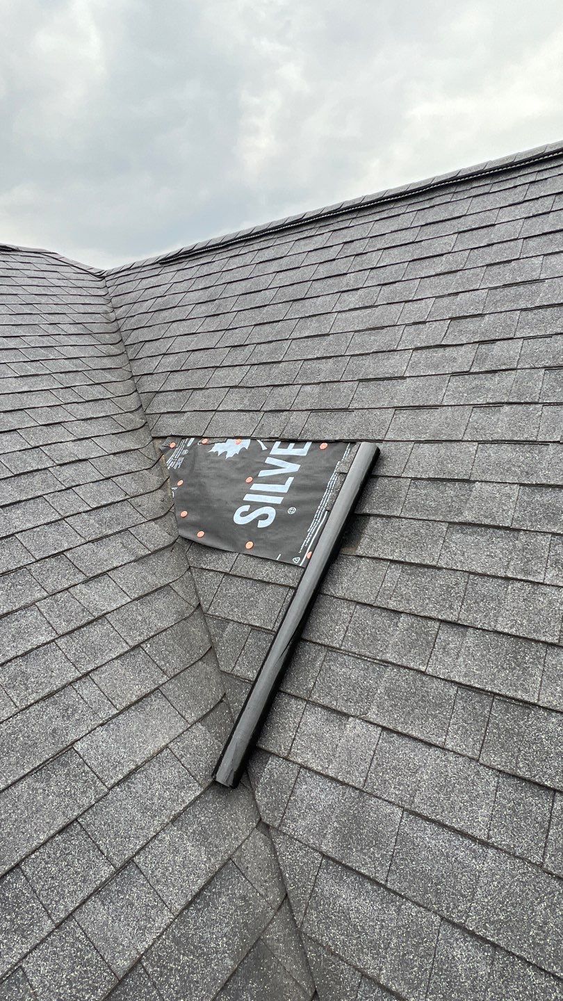Robert Williams by Silver Leaf Contracting 
