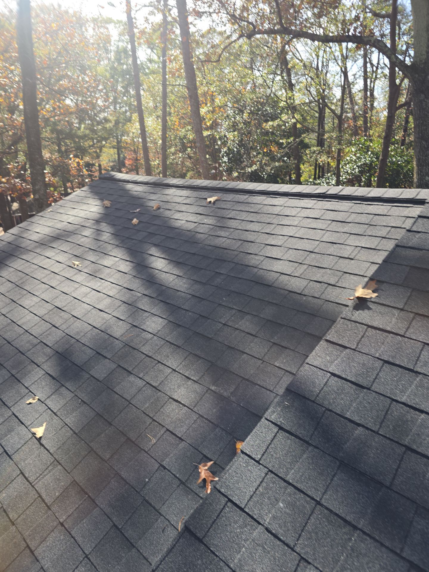 Stone Mountain, GA Roof Replacement CertainTeed Landmark Pro Max Def Charcoal Black by Reset Roofing