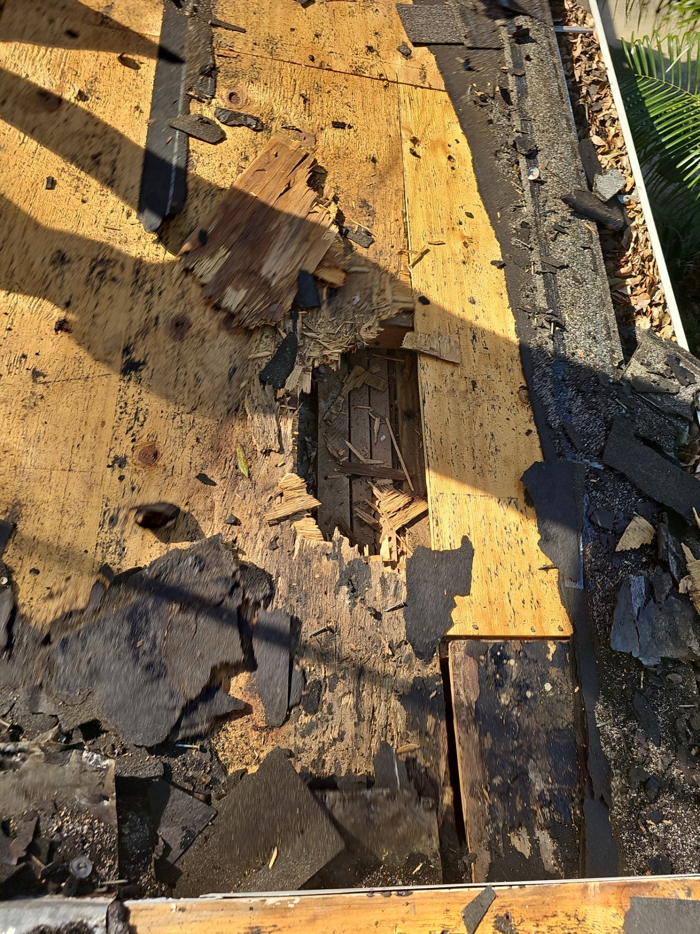 Project in Palm Harbor 34684 by Mitchell Roofing Company LLC