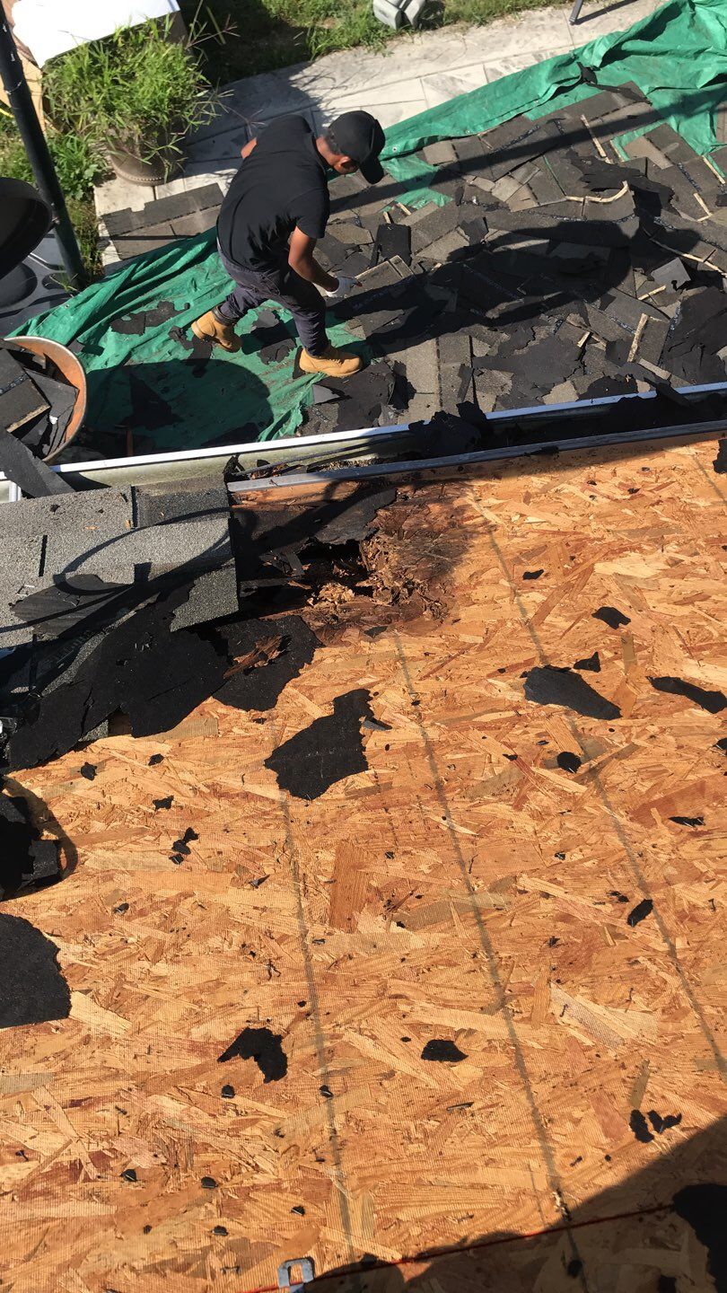 Roof Replacement by Just Brilliant Restoration JBR