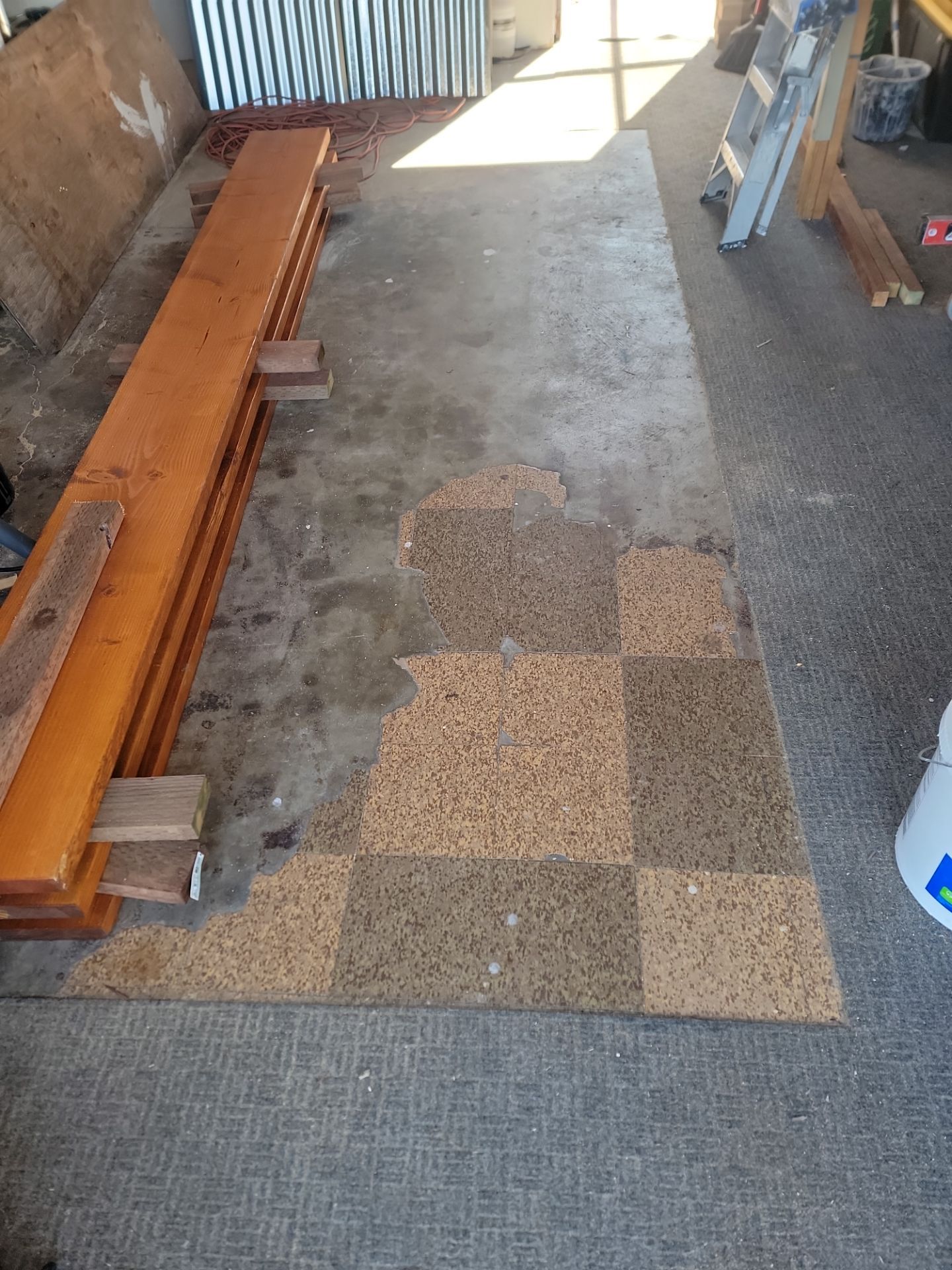 Holy Cow what a difference by MGP Coatings