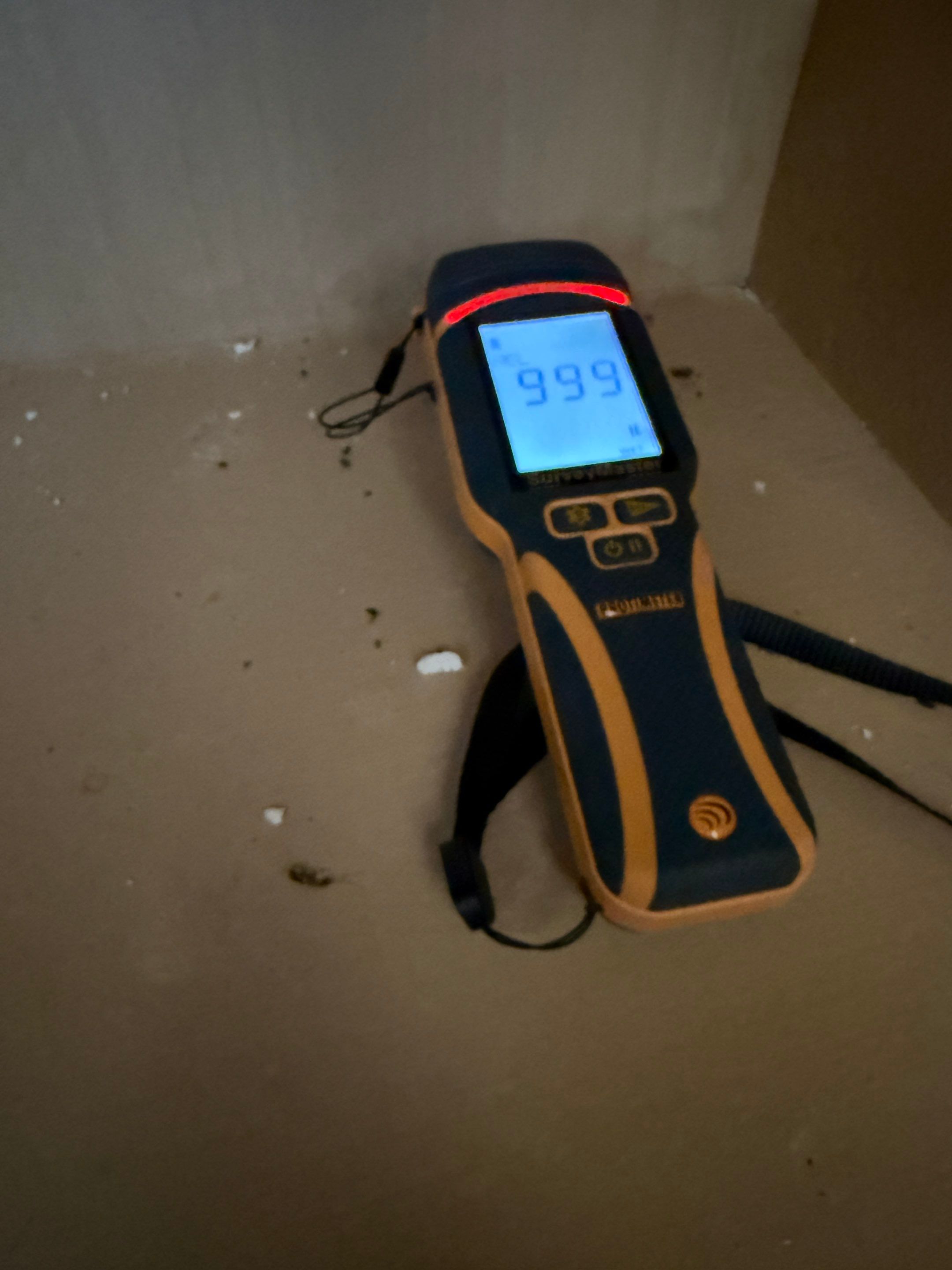 Project in St. Petersburg by Bay Coast Restoration 