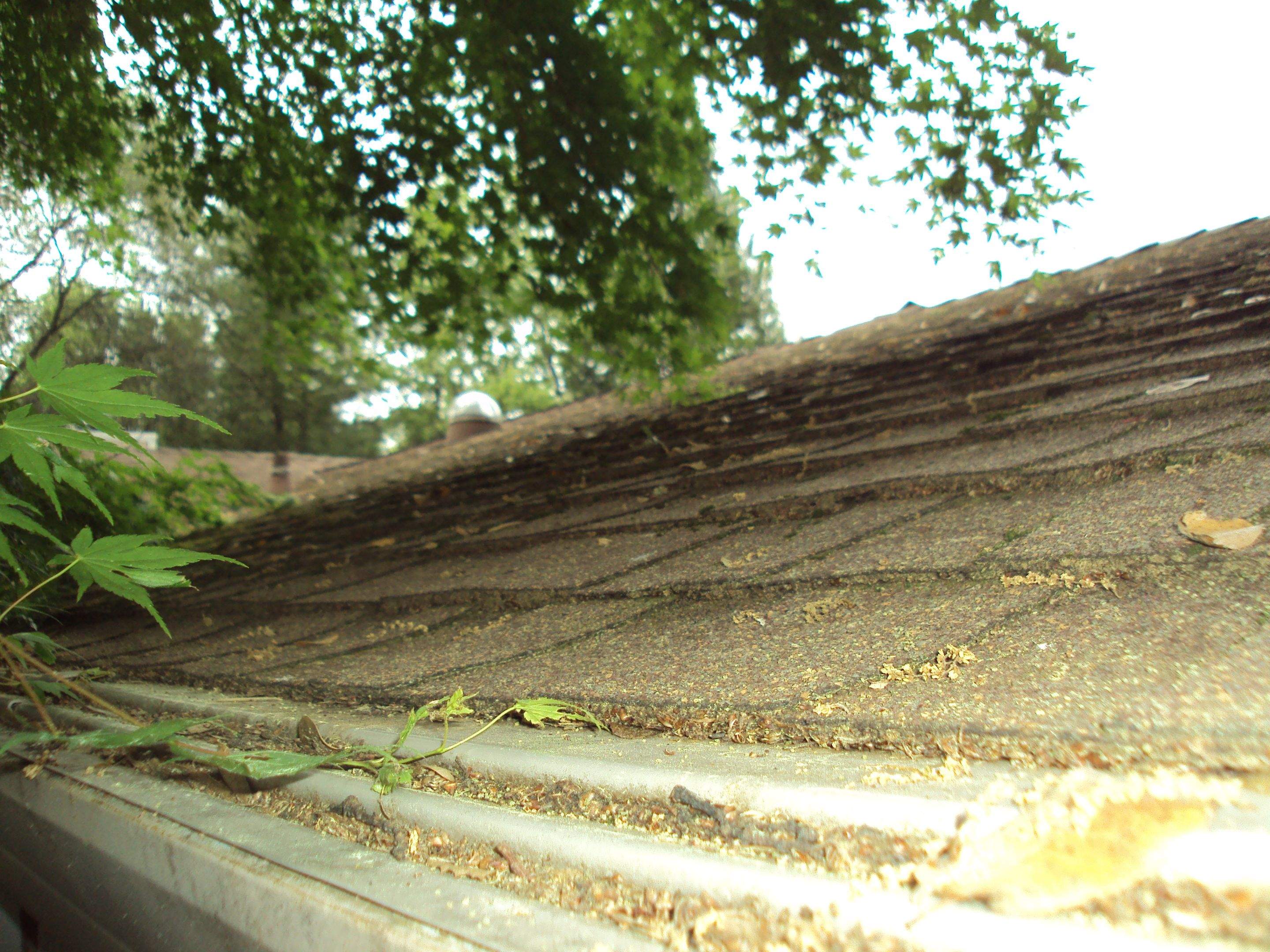 New Roof and gutters by Byers Enterprises 