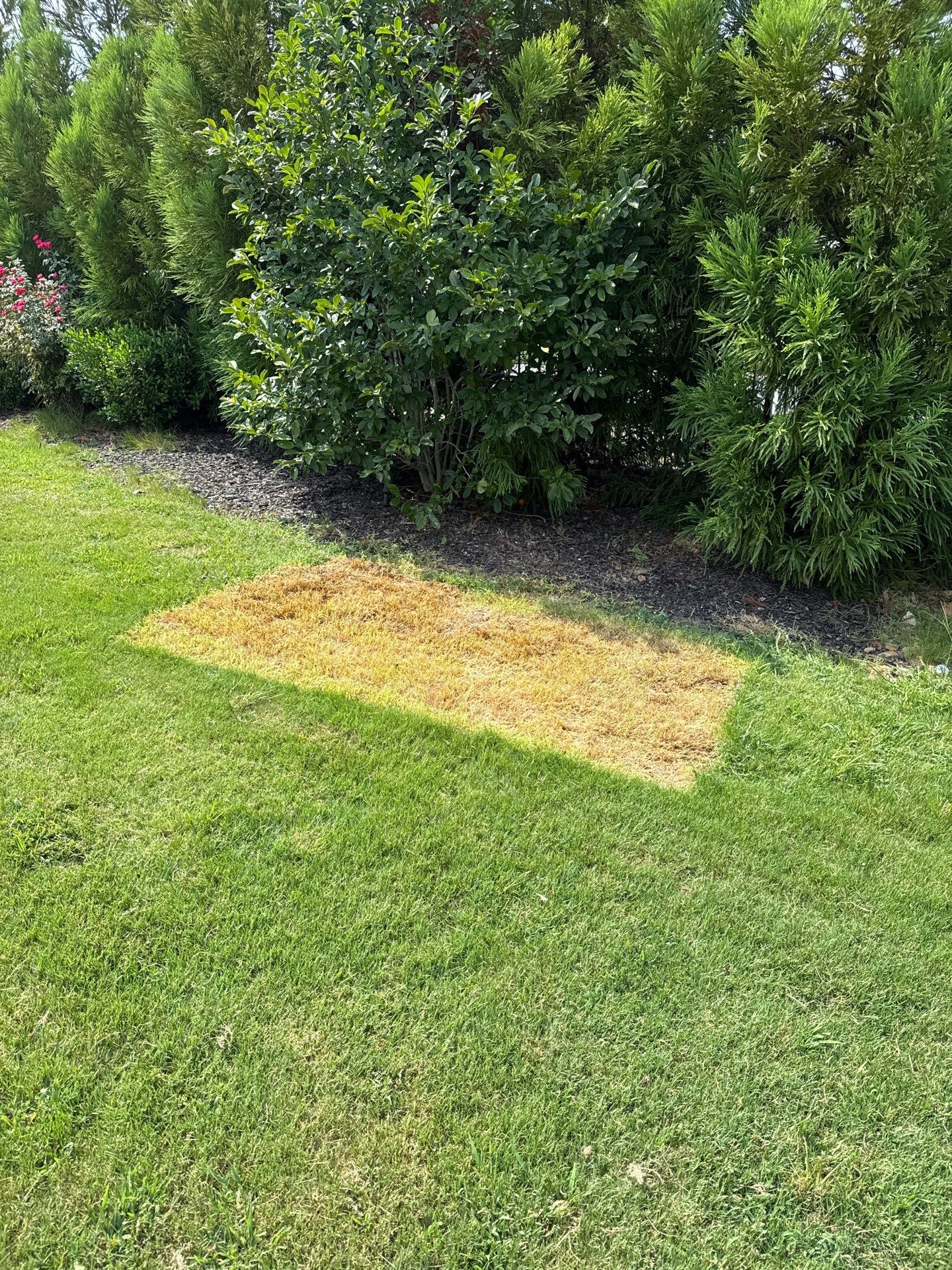 Project in Waxhaw by Badger Hauling