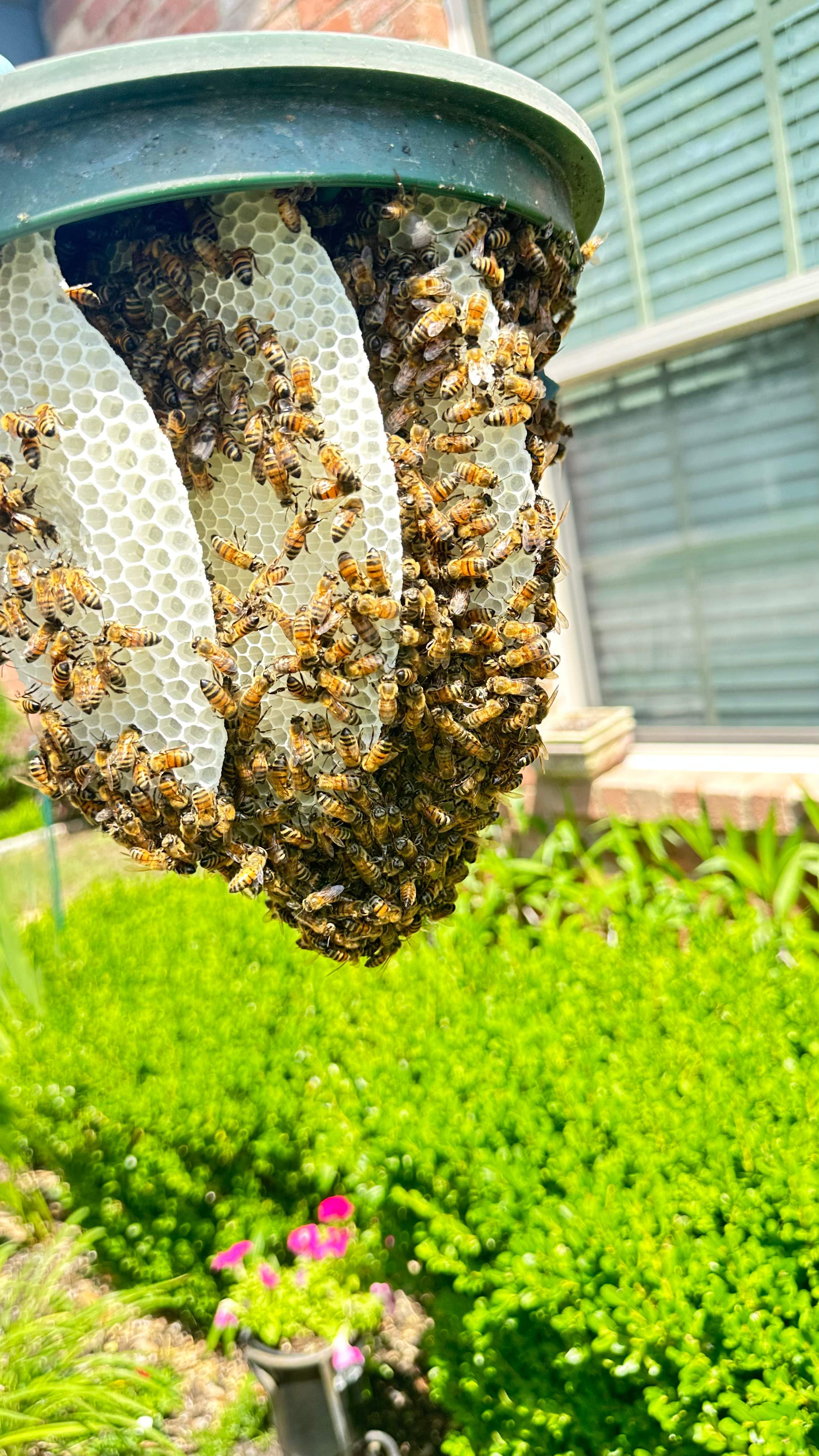 Irrigation Box by Rockwall Honey Bee Company