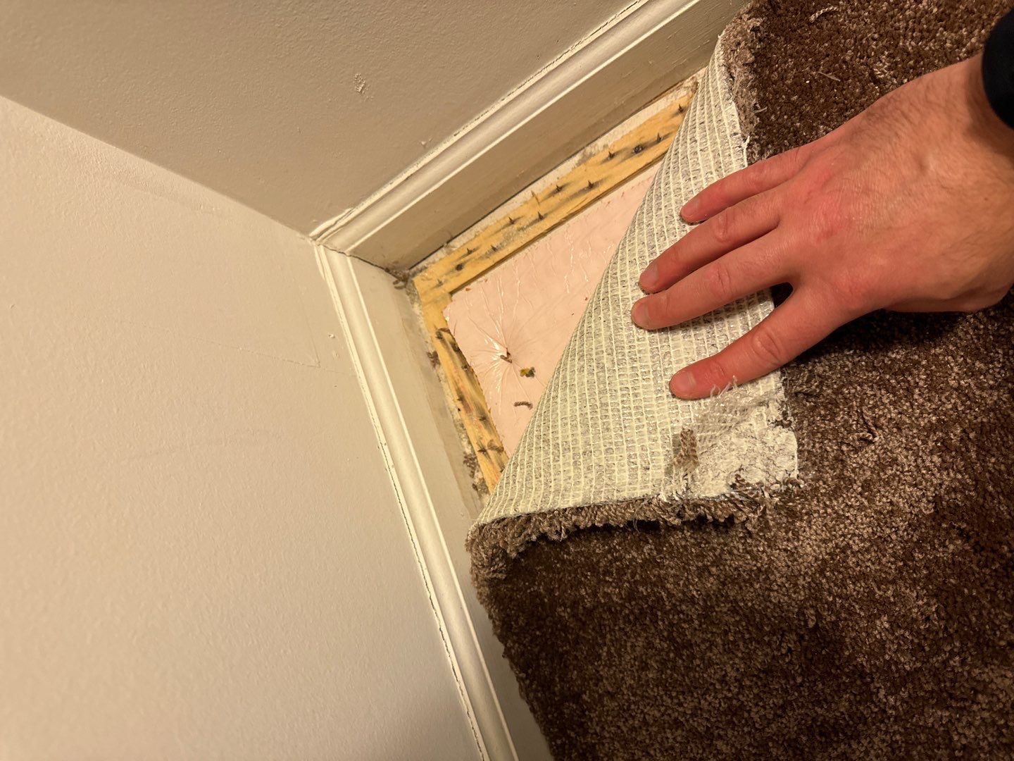 Project in Macomb by EzDry Water Mitigation & Property Restoration