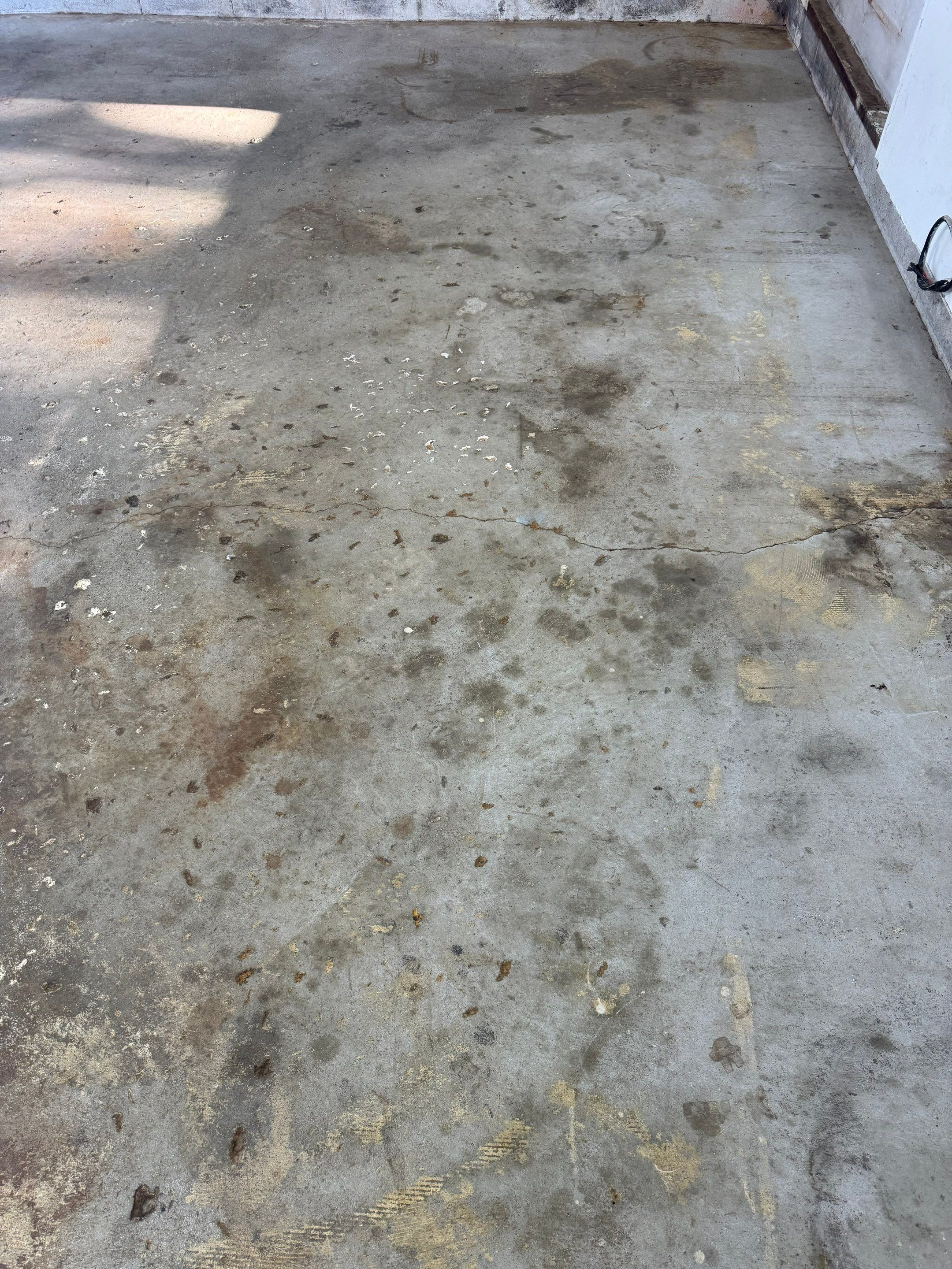 Multi-Colored Epoxy Flake Garage Floor Installation in Fruitport by Gordon Painting