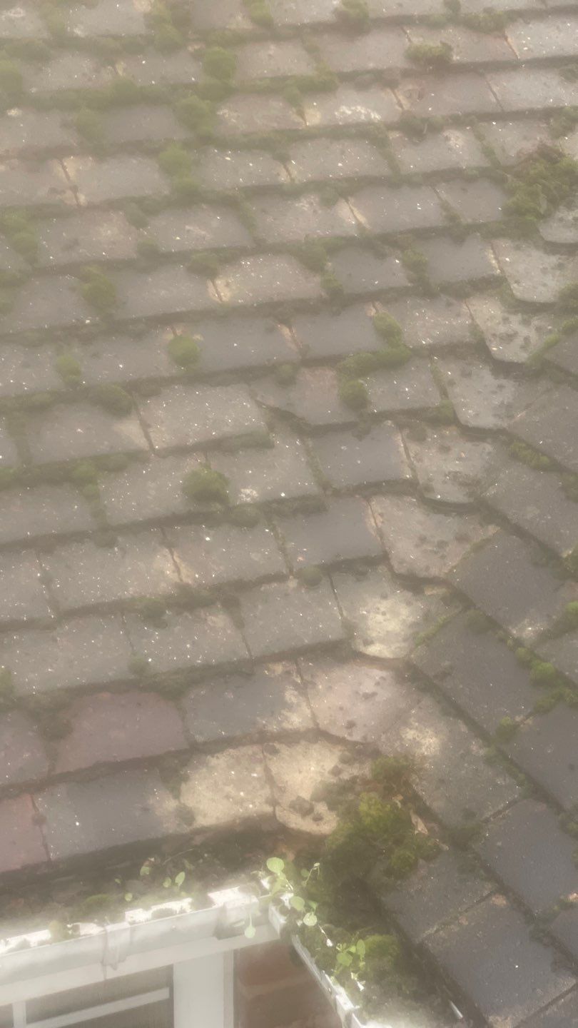 Roof Clean  - Moss Removal - Gutter Clean using Honda 15lpm Low Pressure Washing Machine by Ges Exterior Cleaning ltd