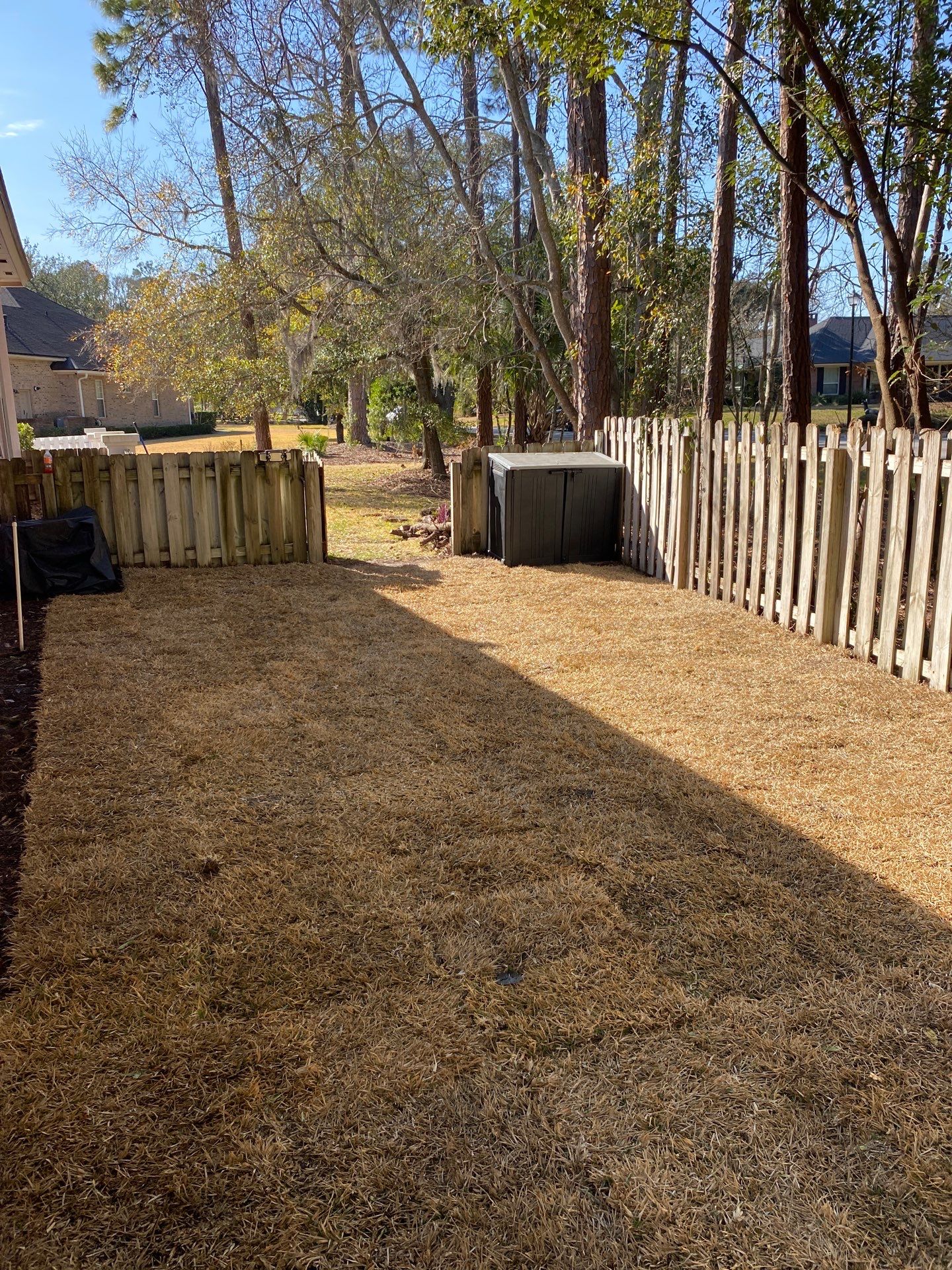 Deerwood Resident | Tree Removal & Clean-Up by ProGreen Services