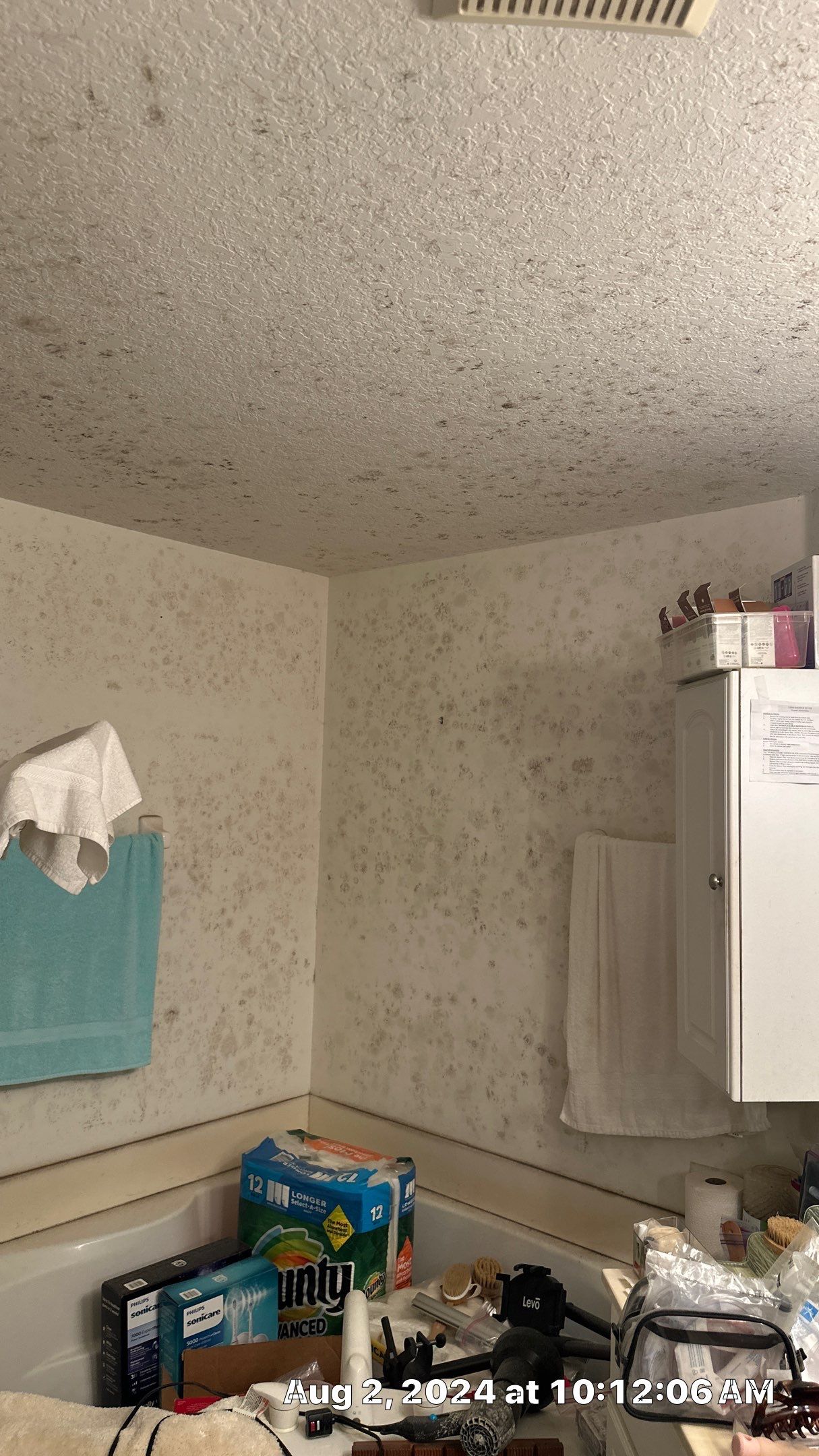 Mold Assessment using IR Camera, Moisture Meter, Air Cassette samples and Tape lifts by Building performance Solutions LLC