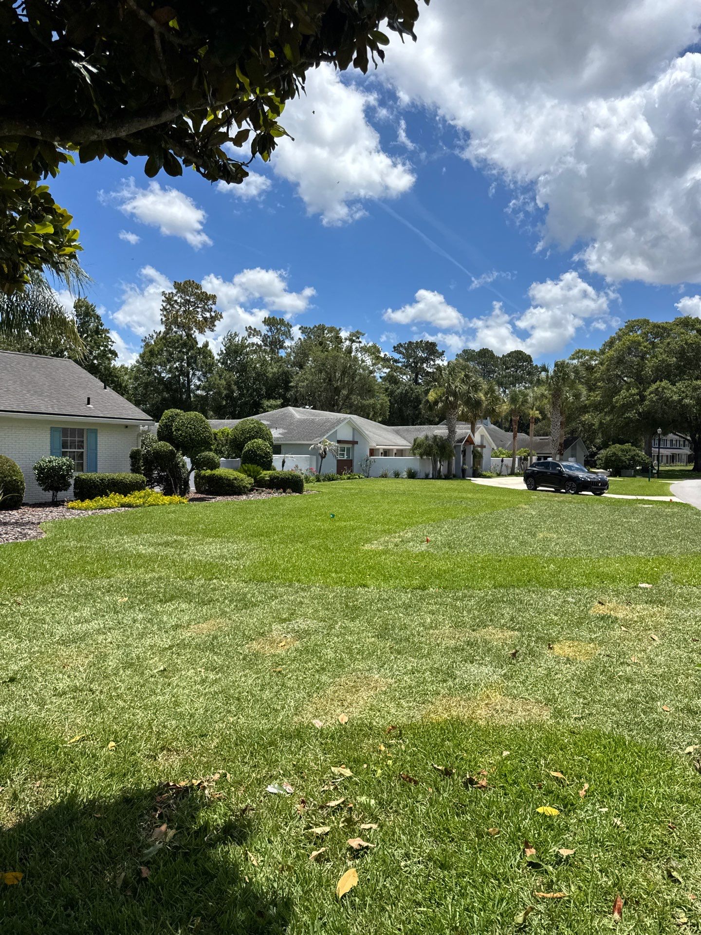 Deerwood Resident | Sod Install by ProGreen Services
