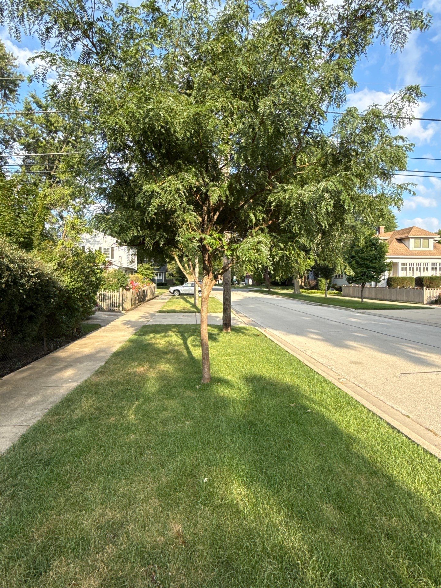 Chris S. - Mount Prospect, IL by A&N