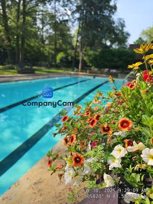Lincoln Condo Lap Pool Remodel and Stone Patio Restoration