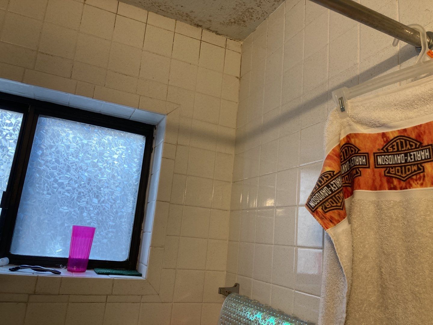 Mold Remediation in Bathroom by Accountable Home Services